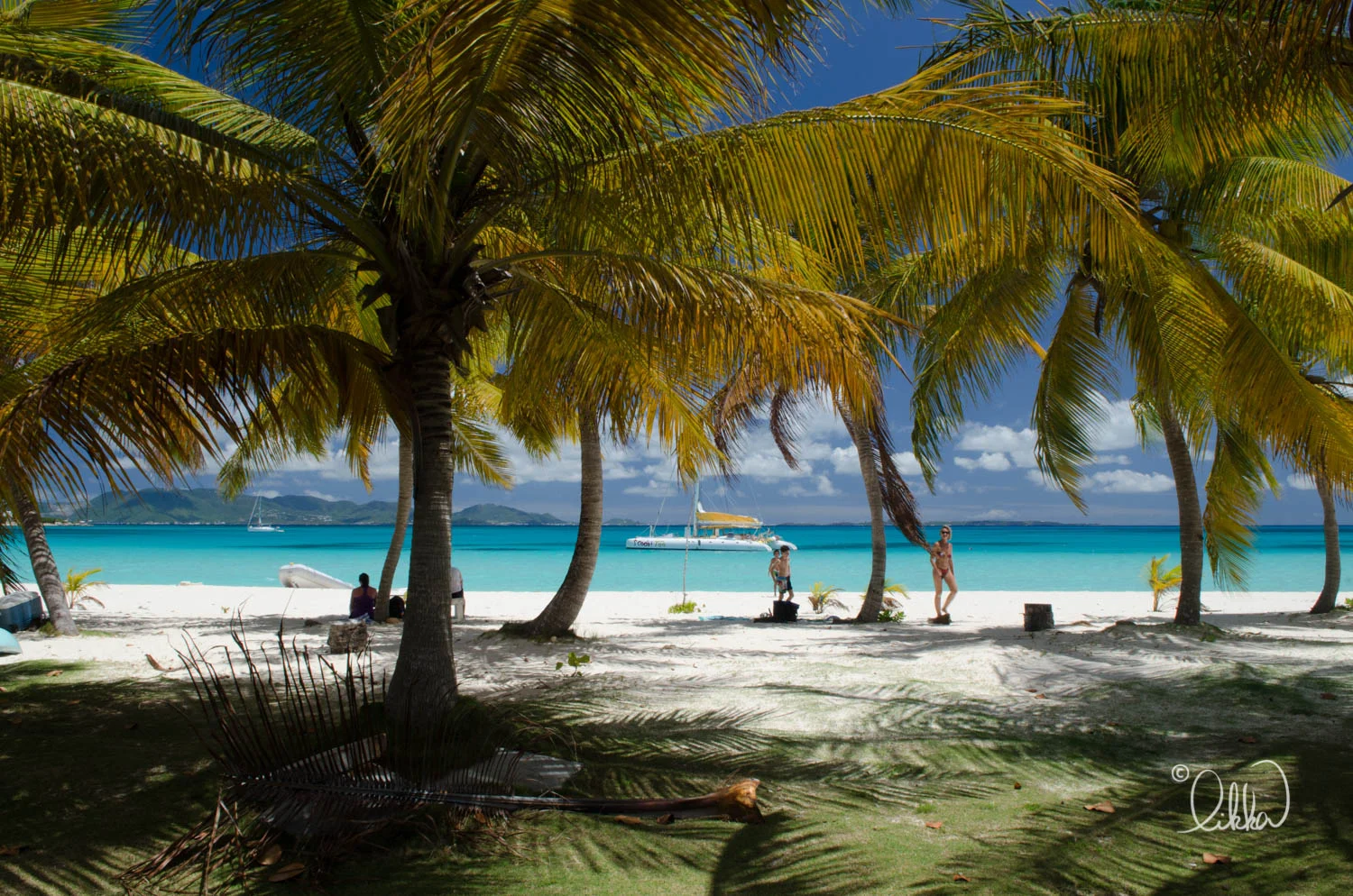 caribbean-likka-32.jpg