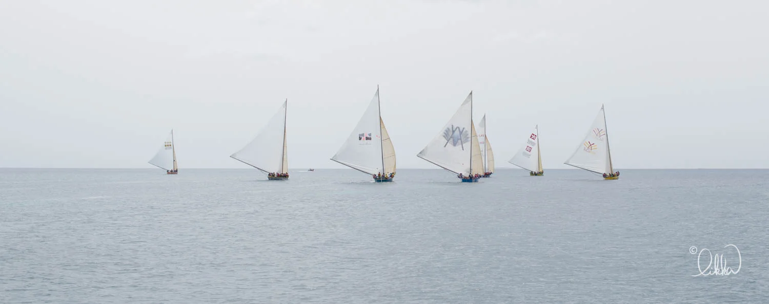 caribbean-likka-35.jpg