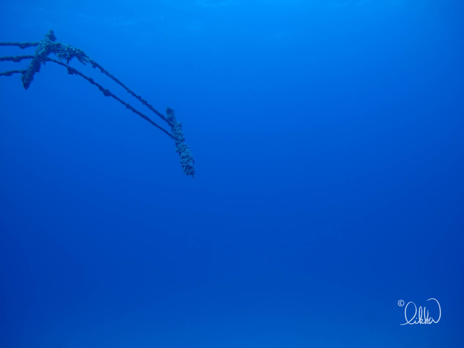 dive-likka-16.jpg