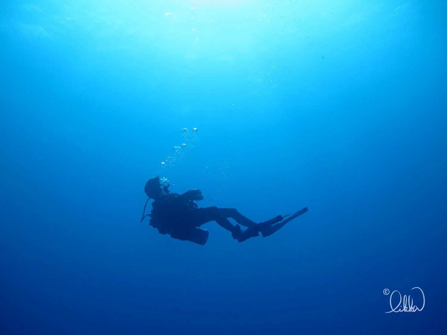 dive-likka-17.jpg