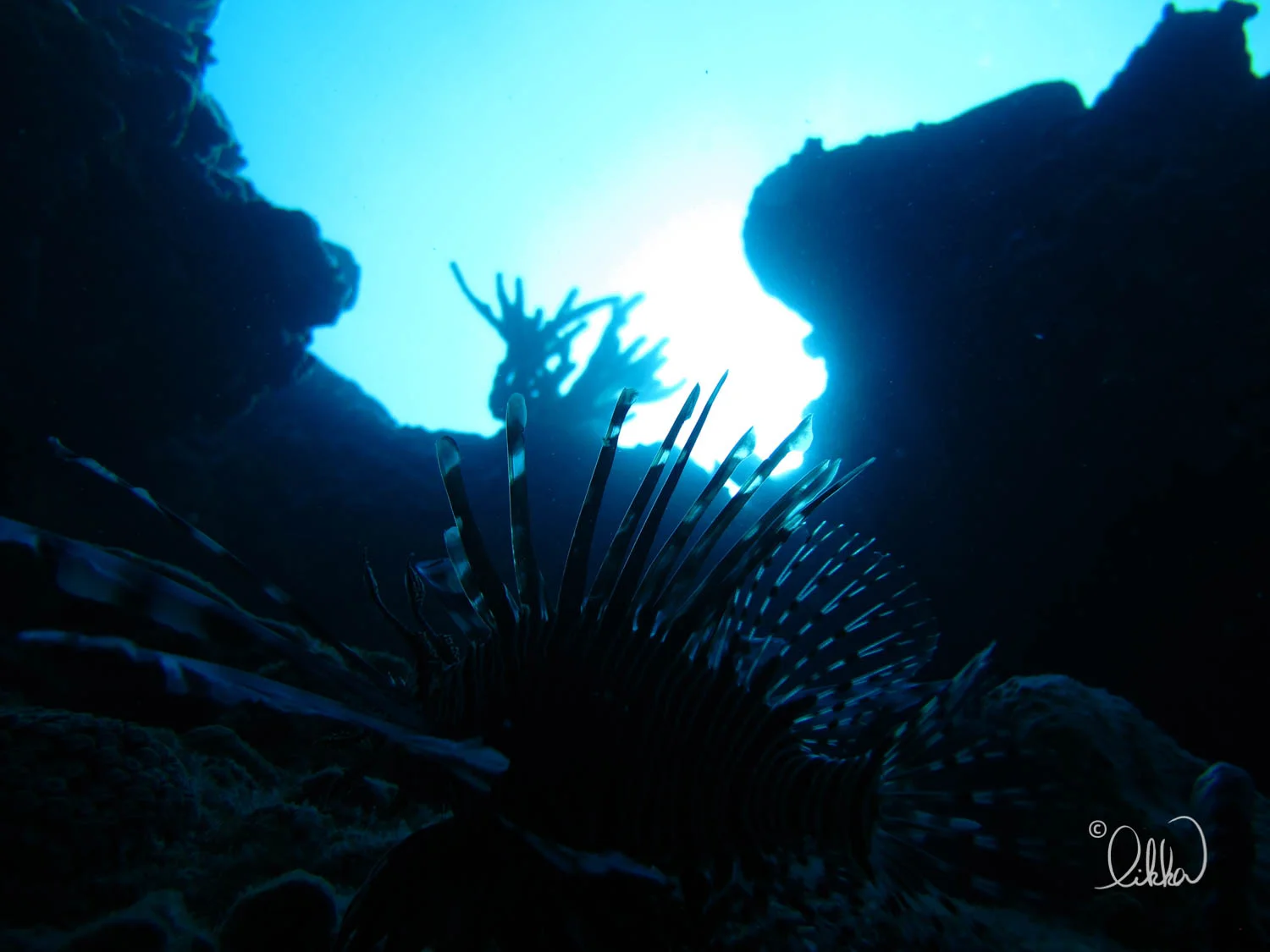 dive-likka-23.jpg