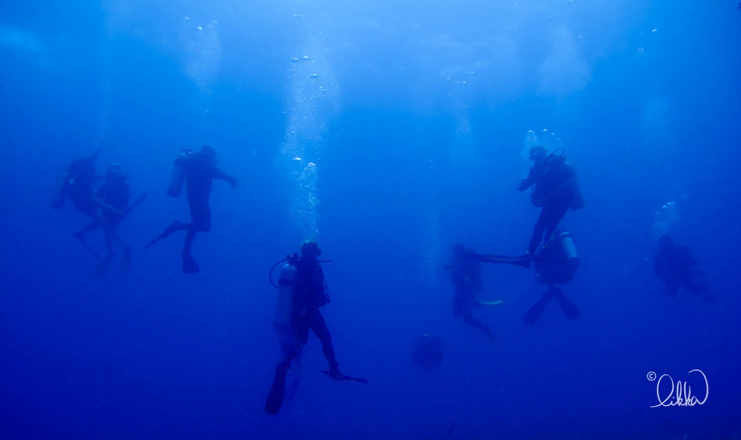 dive-likka-32.jpg