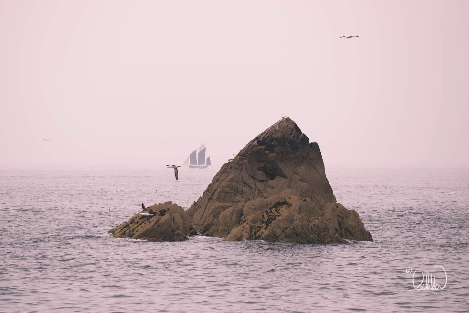 bretagne-bzh-likka-115.jpg
