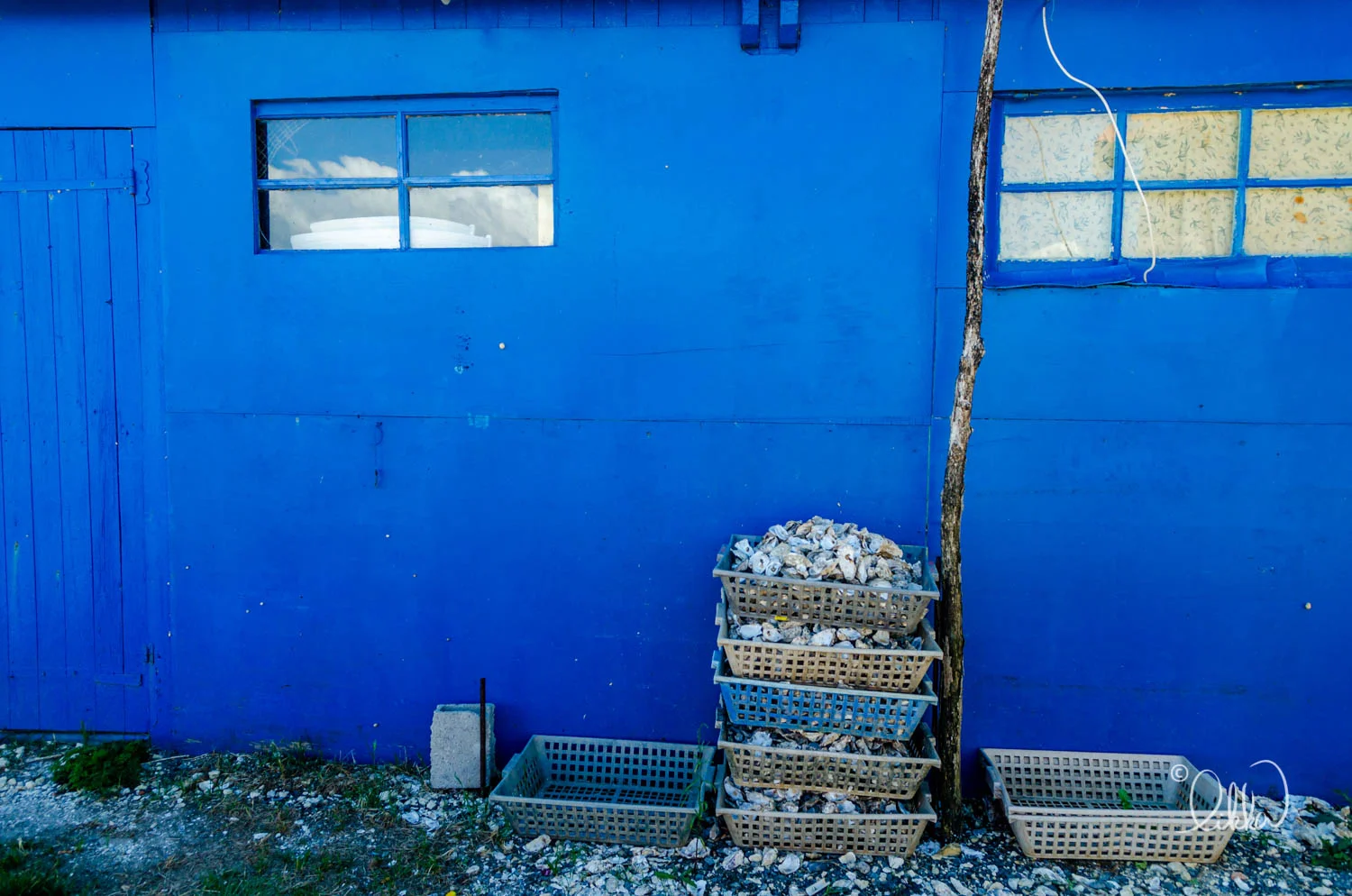 blue-likka-14.jpg