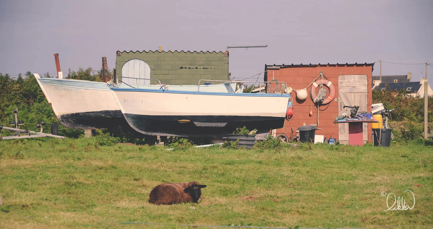port-side-likka-22.jpg