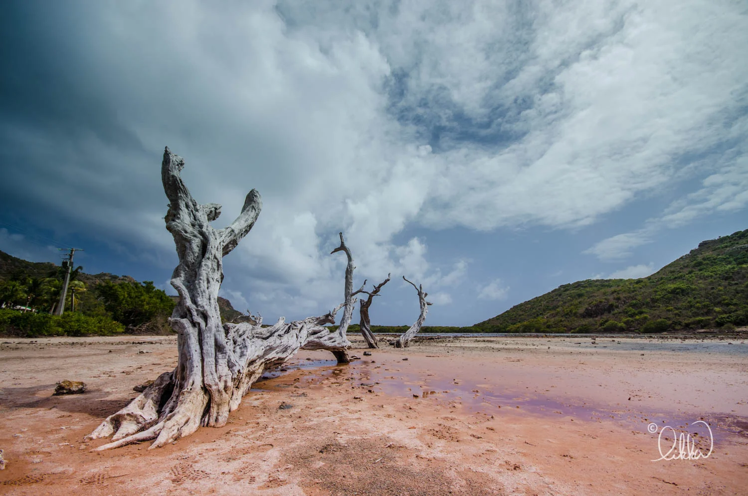 st-barth-likka-16.jpg