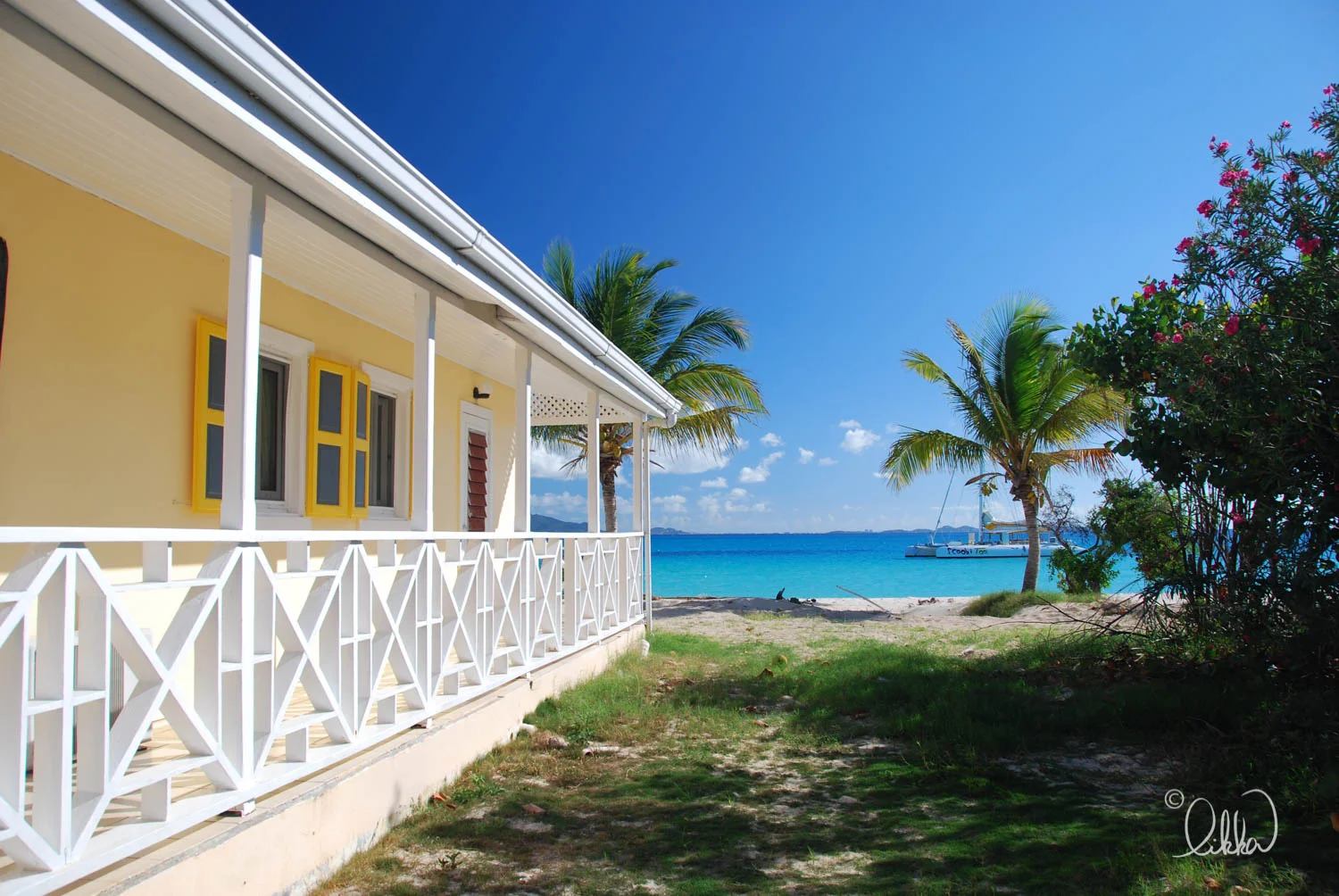 likka-caribbean-15.jpg