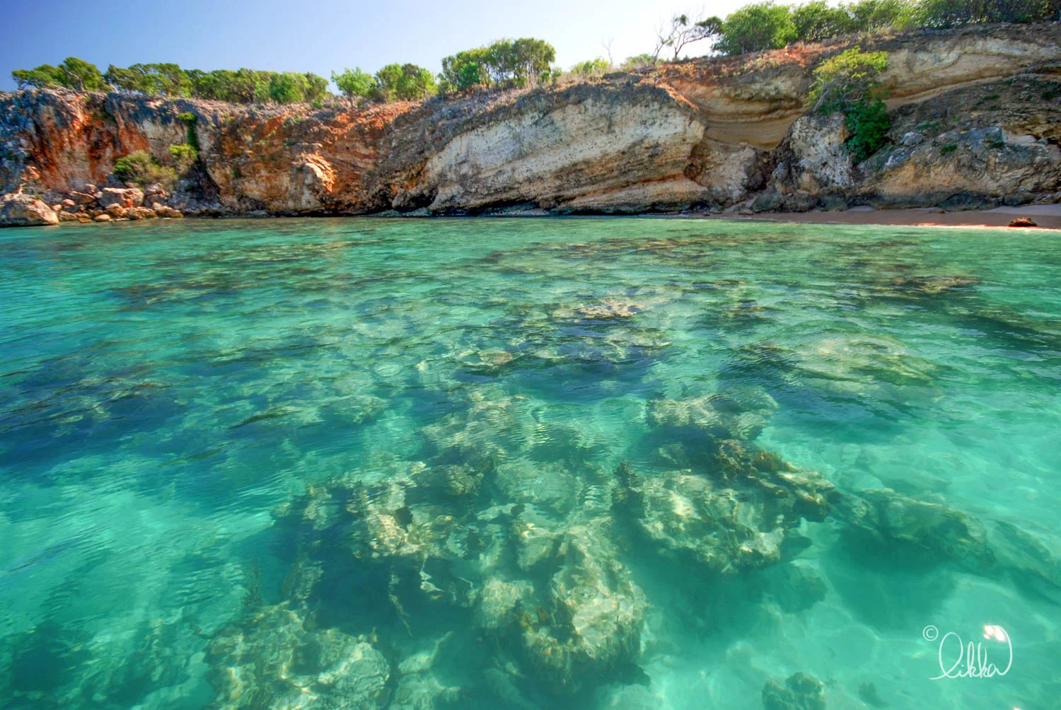 likka-caribbean-19.jpg