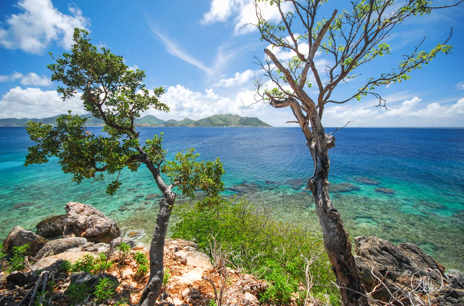 likka-caribbean-57.jpg