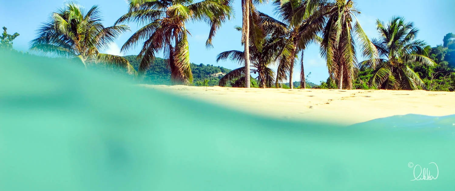 likka-caribbean-70.jpg