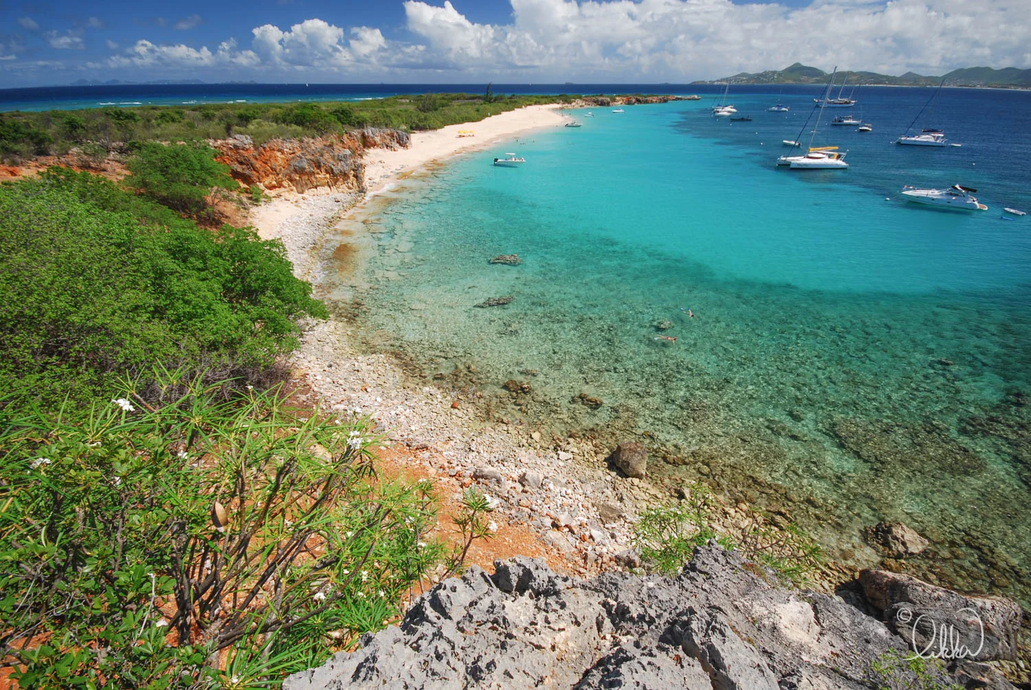likka-caribbean-59.jpg