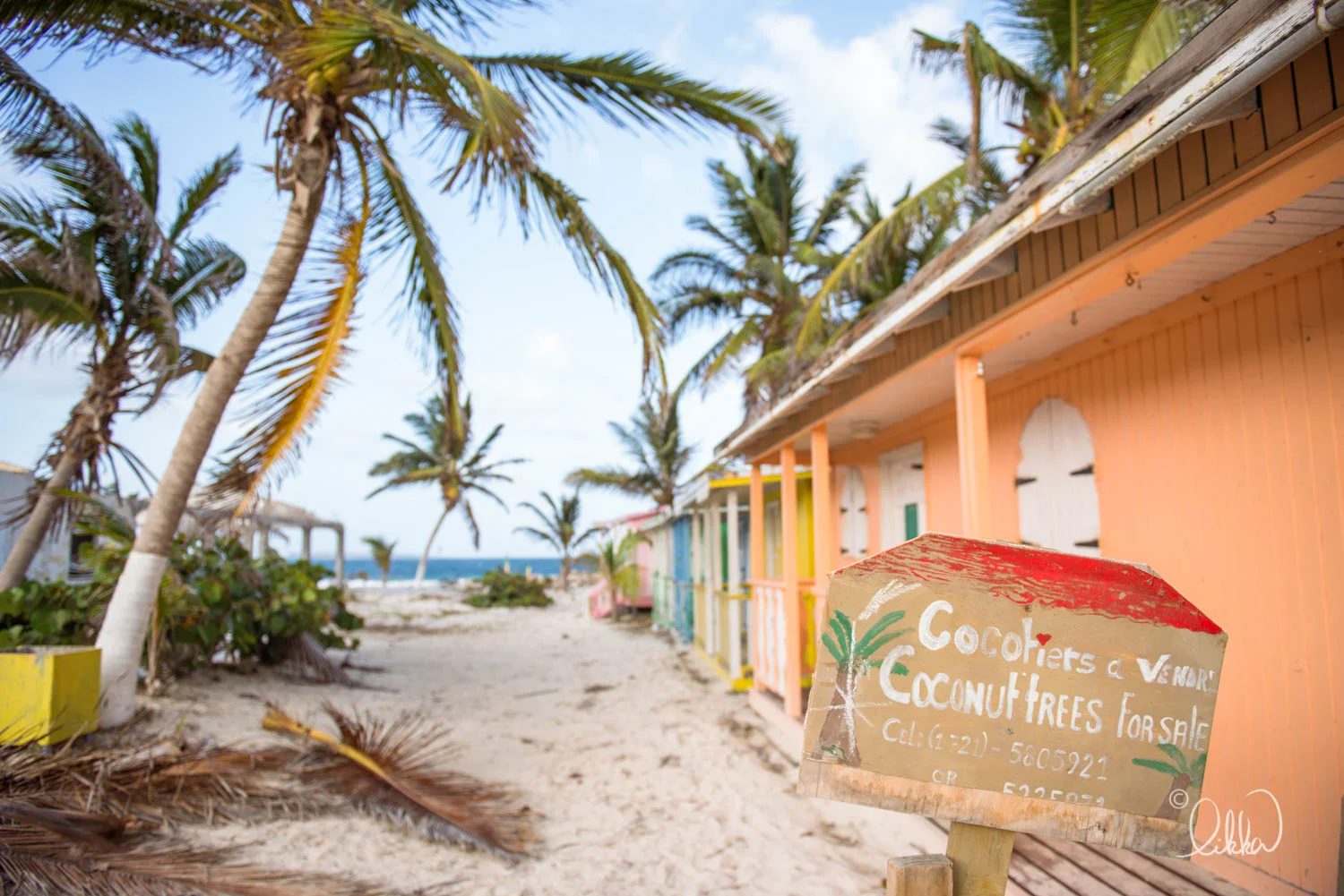 likka-caribbean-319.jpg