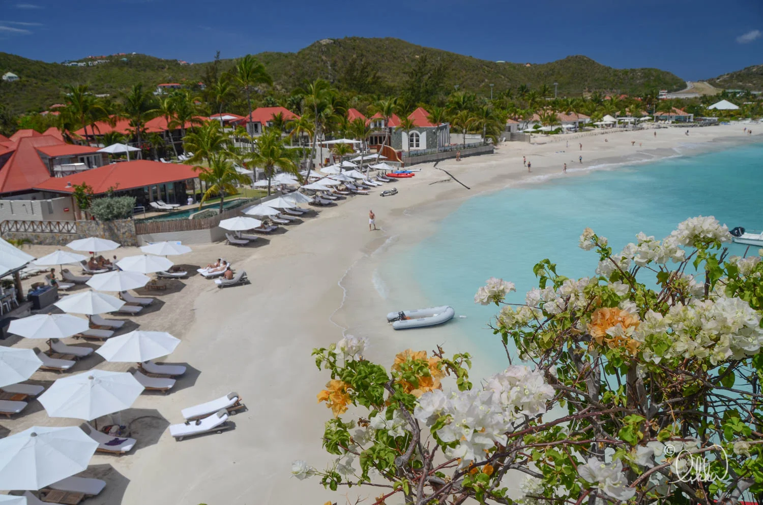 likka-caribbean-110.jpg