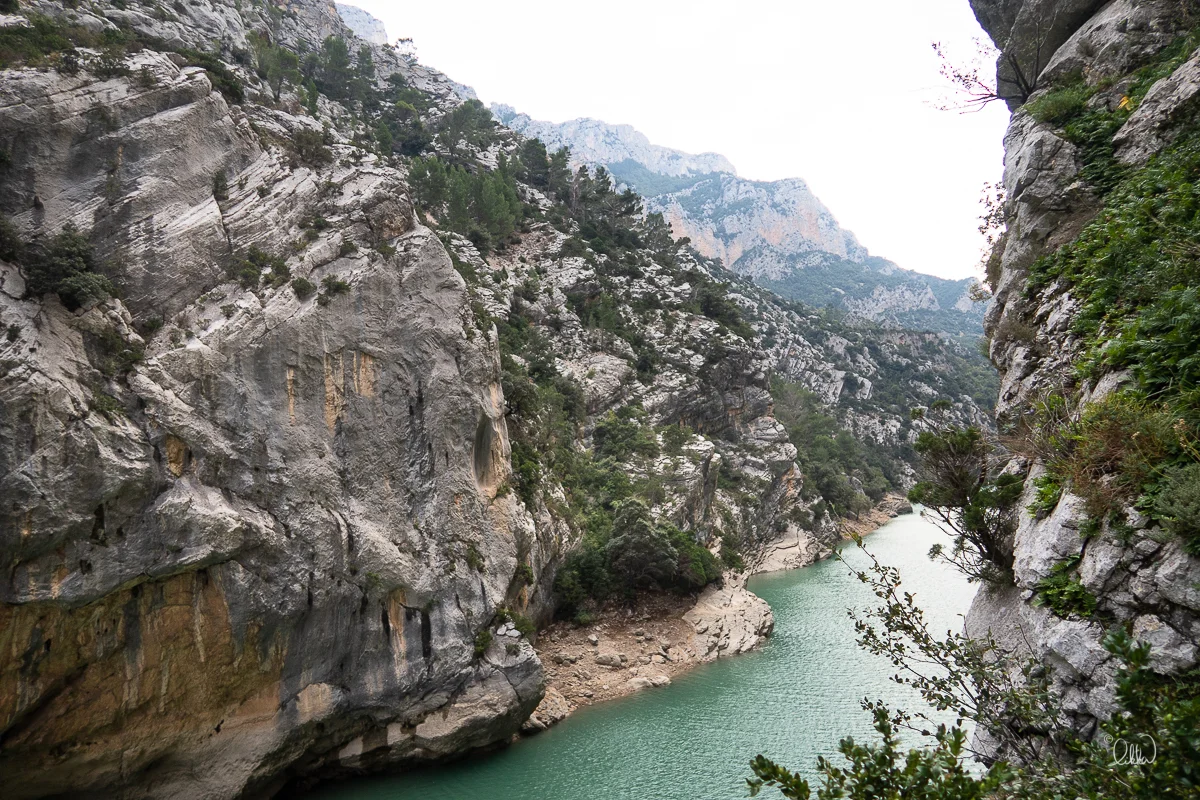 VERDON_LIKKA_CANON-11.jpg