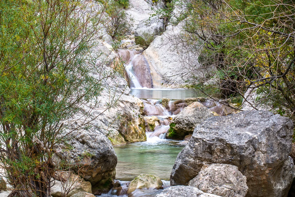 VERDON_LIKKA-19.jpg