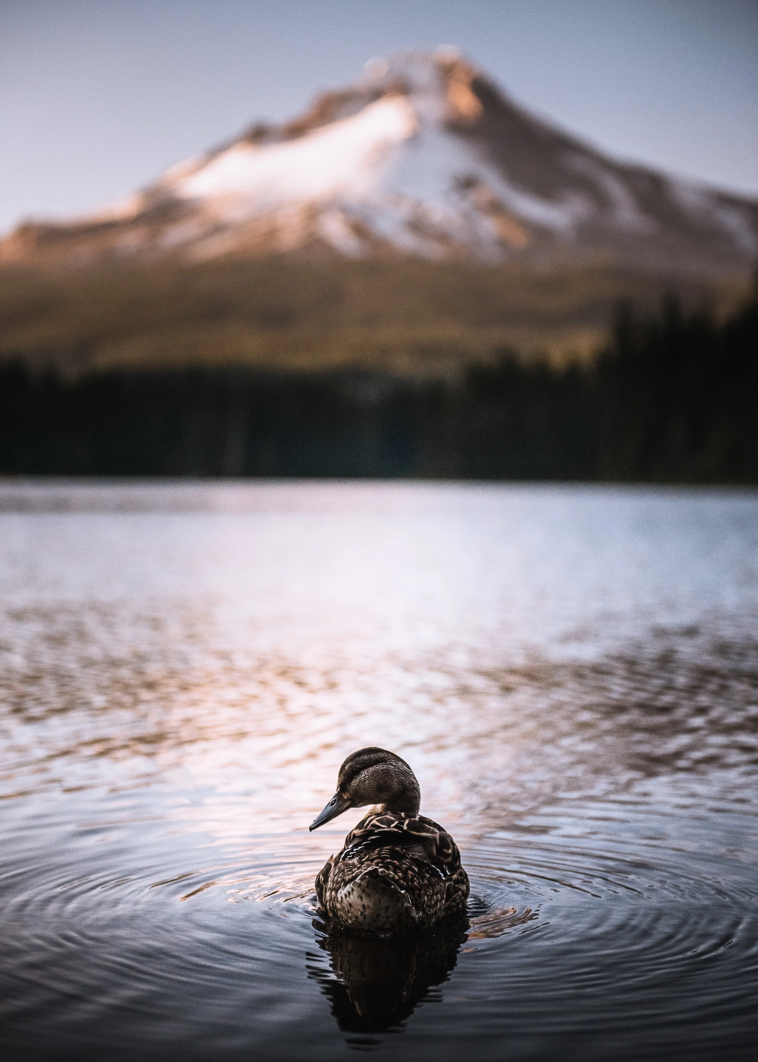 _DSC8191-Edit.jpg