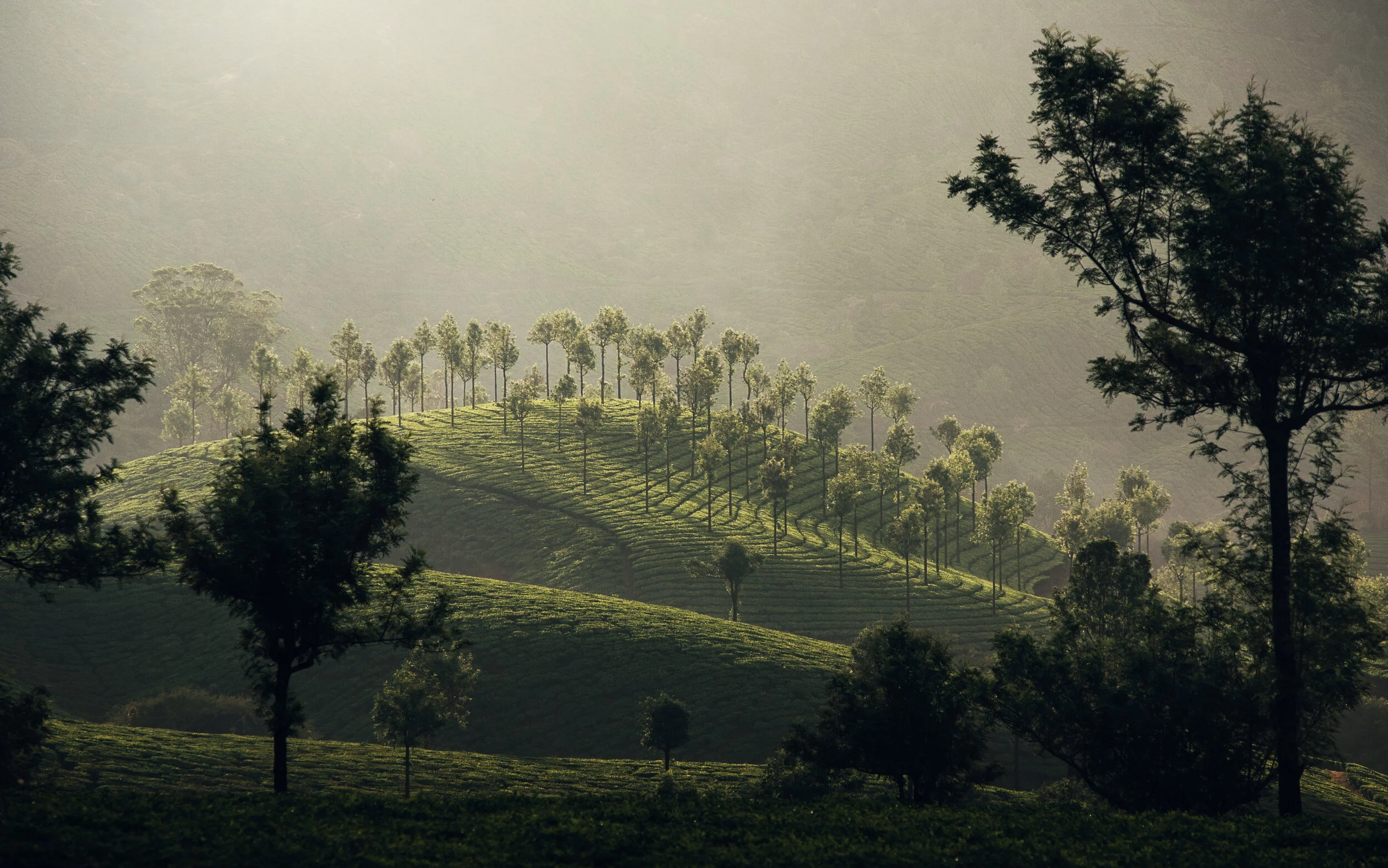 _DSC9420-Edit-2-2.jpg