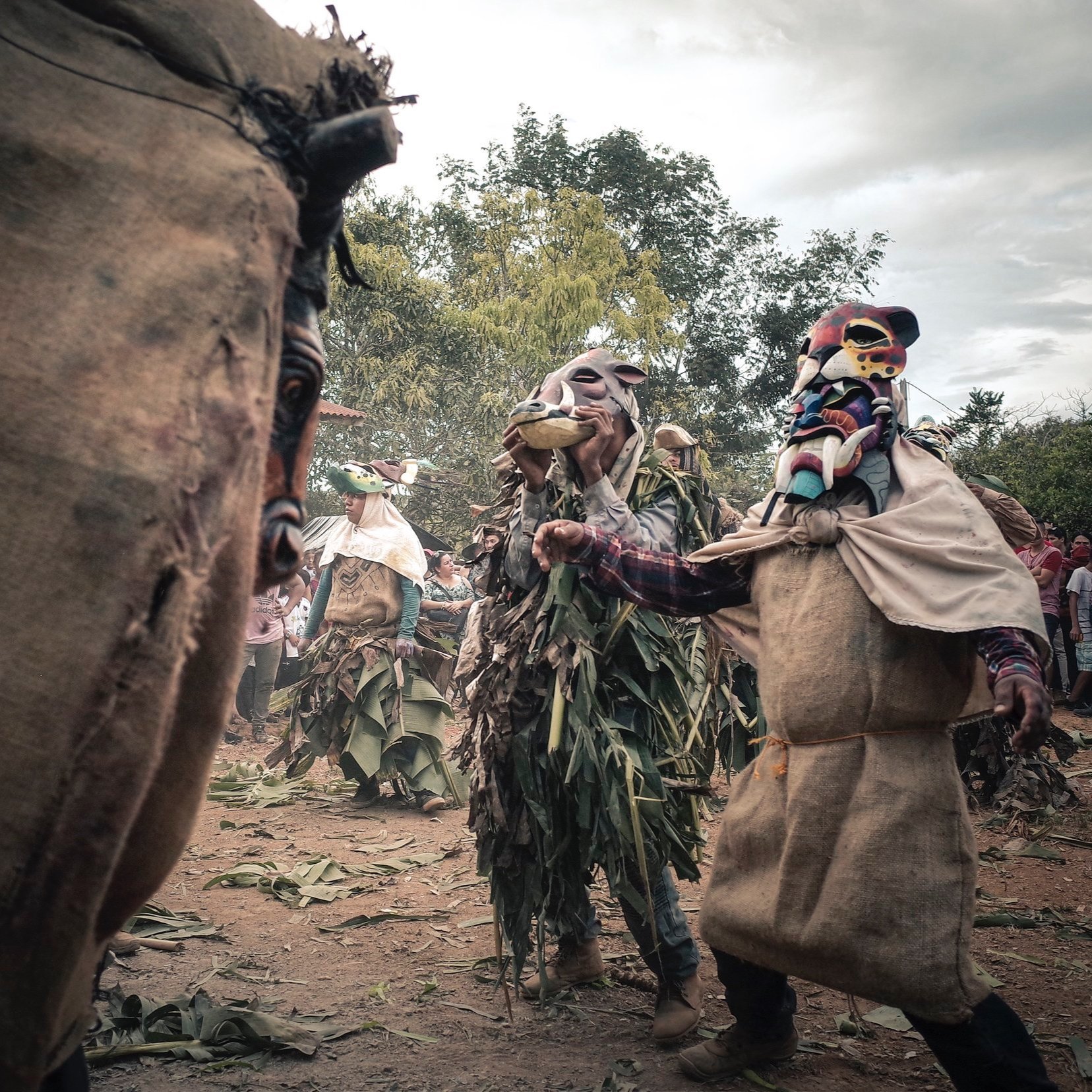 Cultivando el Valor del Medio Ambiente