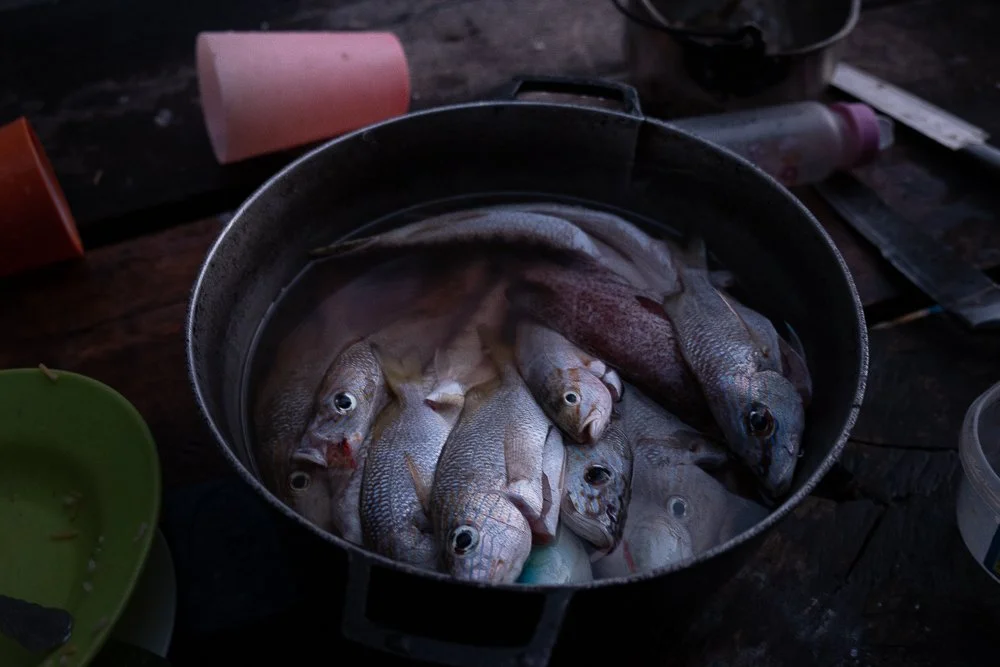 Las zonas costeras se han convertido en puntos críticos en la lucha contra el cambio climático