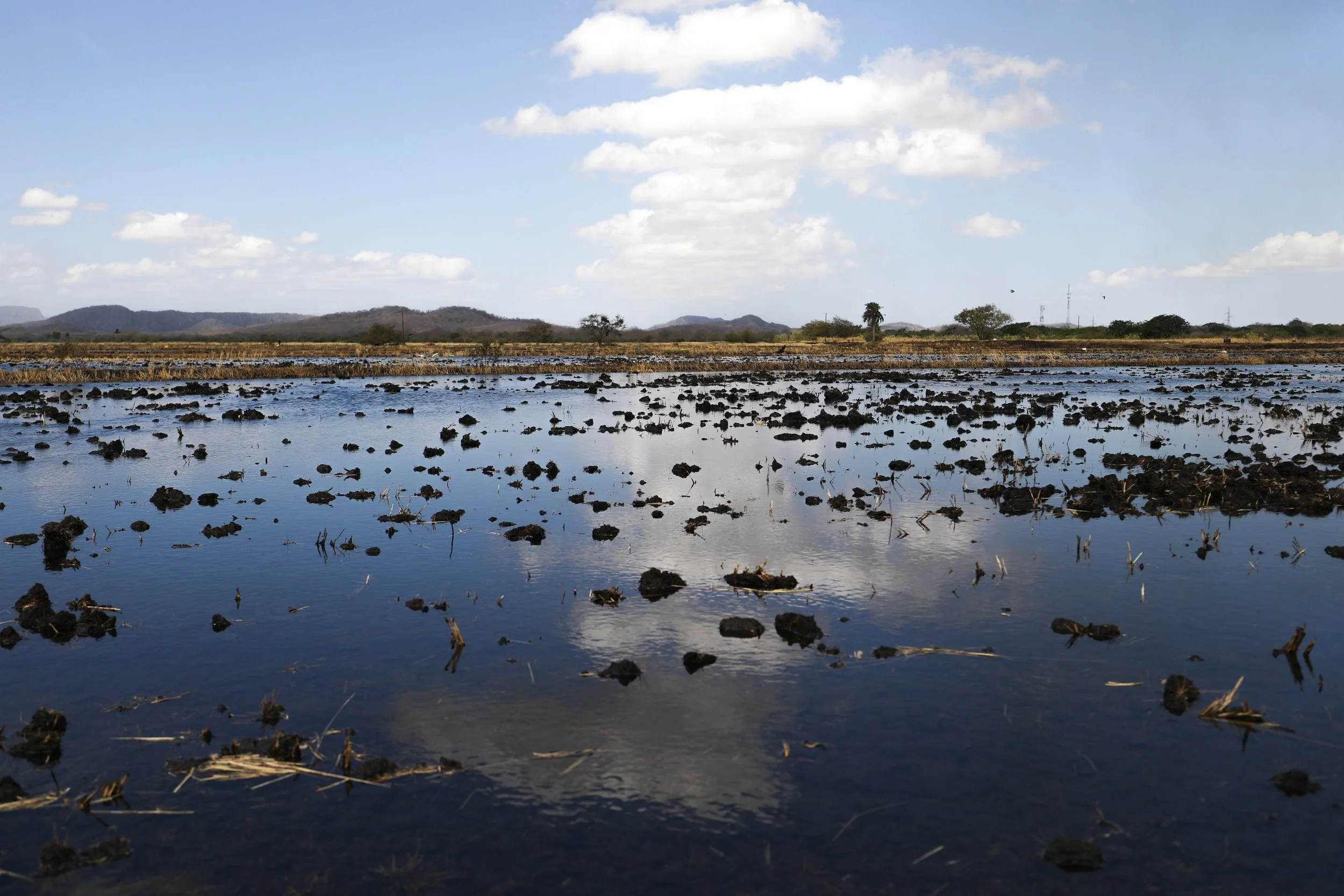 The Tempisque River: Natural and Cultural Axis of Ancient Greater Nicoya