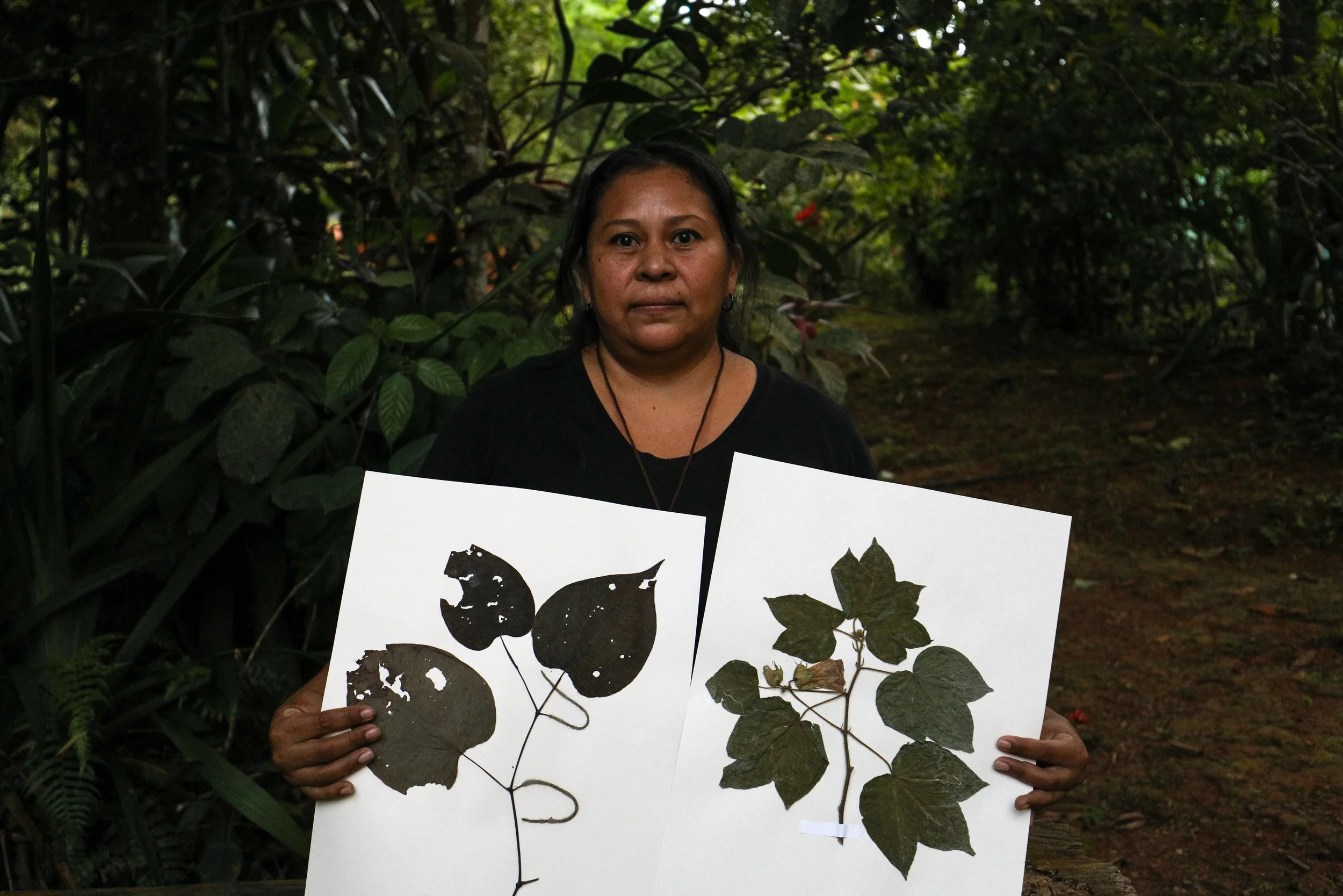 Mujer sosteniendo dos carteles con dibujos e insectos en un entorno natural de selva o bosque.