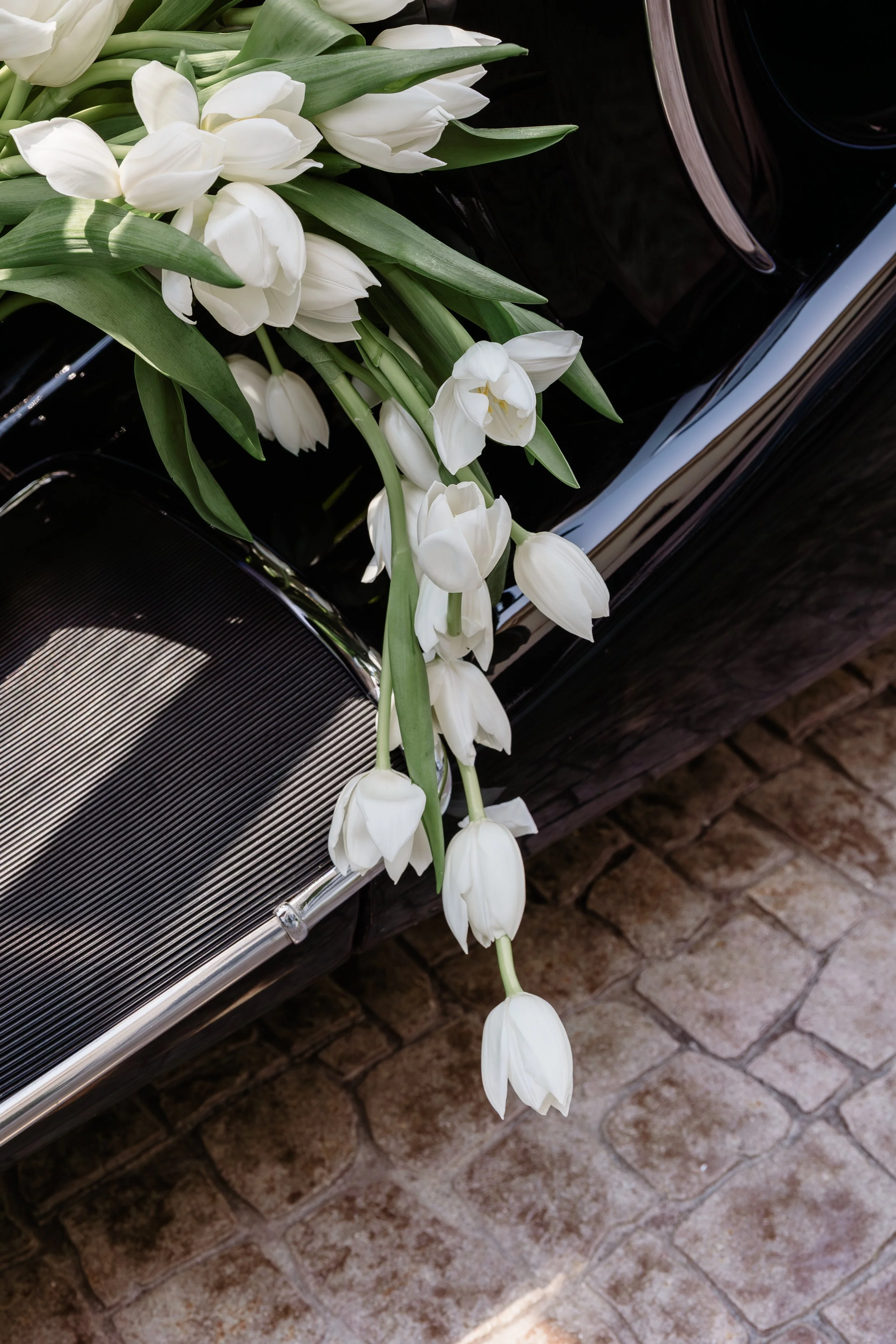White tulips draping over the front of a black vintage car with a chrome grille, placed on a brick pavement.