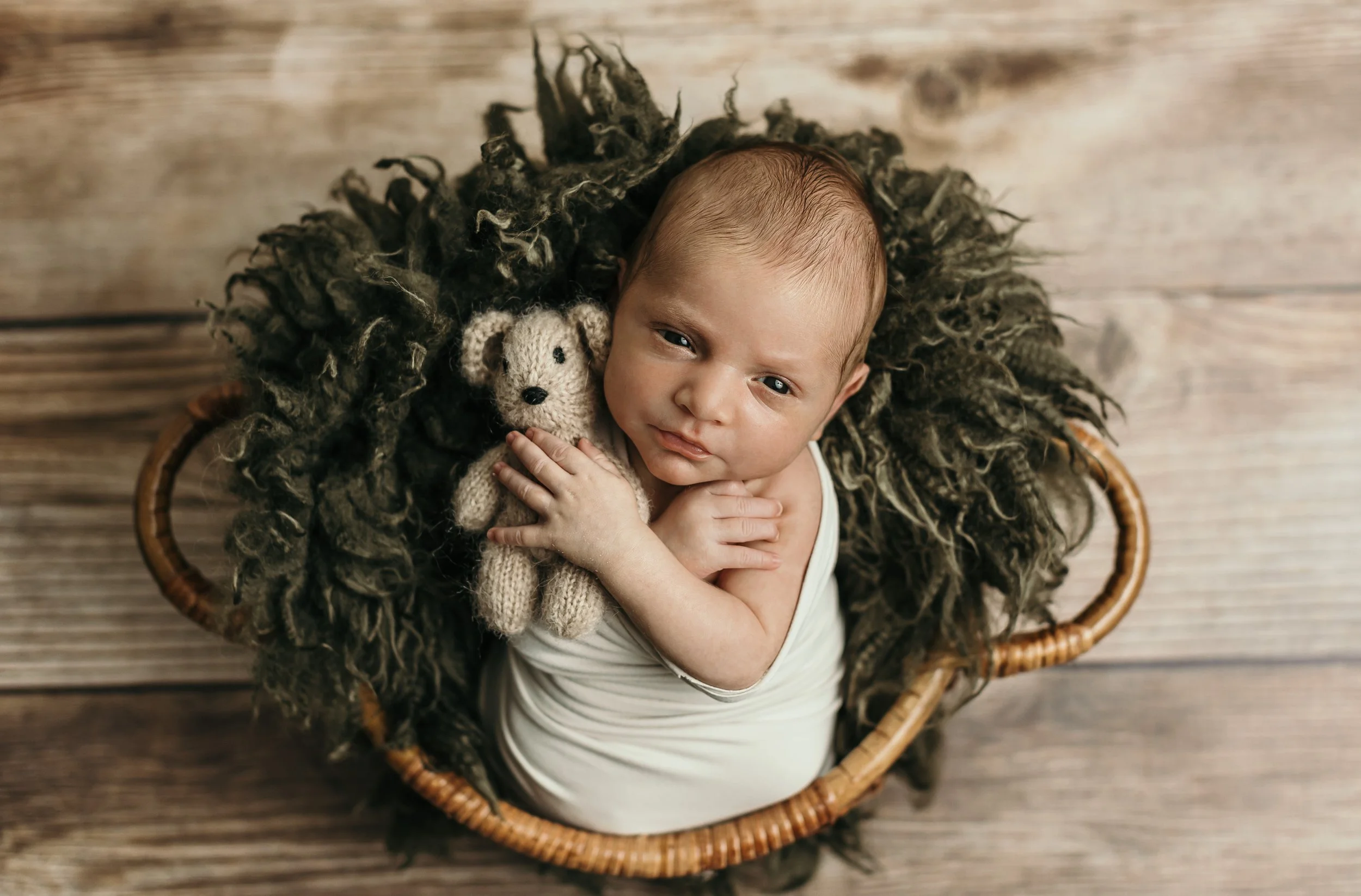 Carter Family 2024-14.jpg