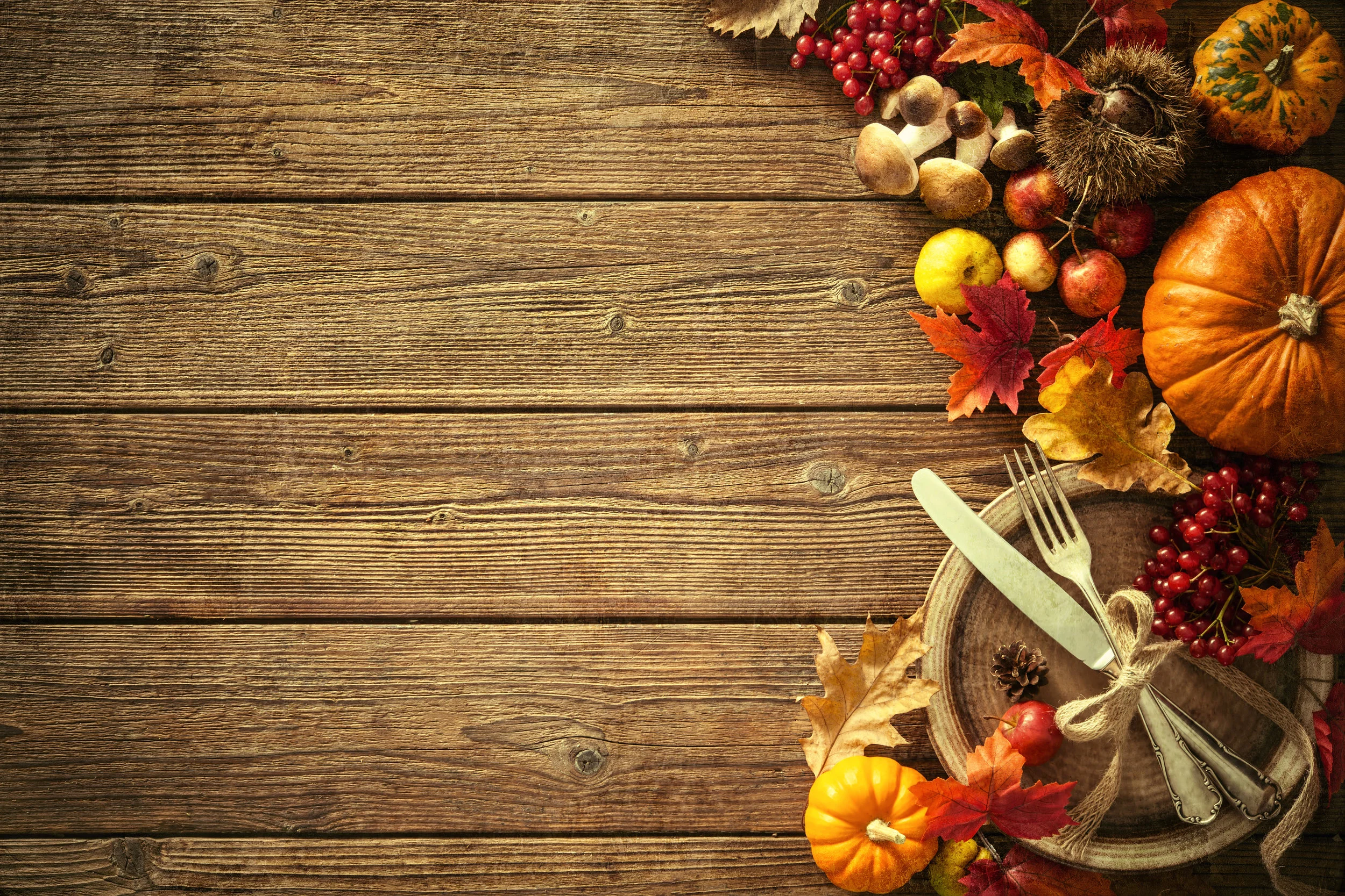 Fall Background.jpg