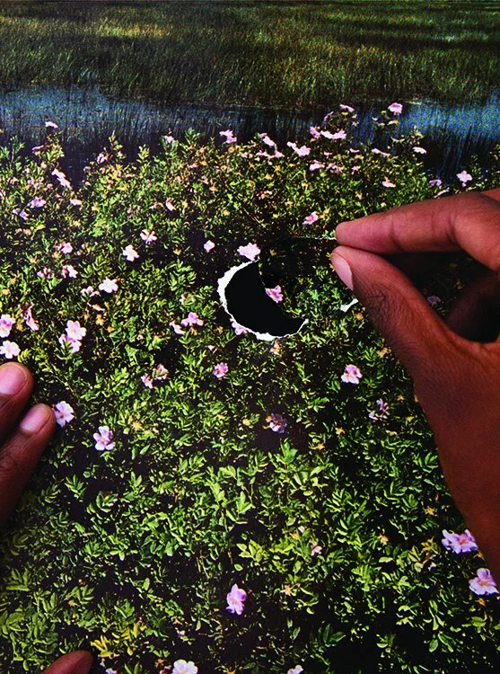 Dionne Lee. A Plot That Also Grows , 2018. Archival inkjet print, 38 x 24 in. Courtesy of the artist.