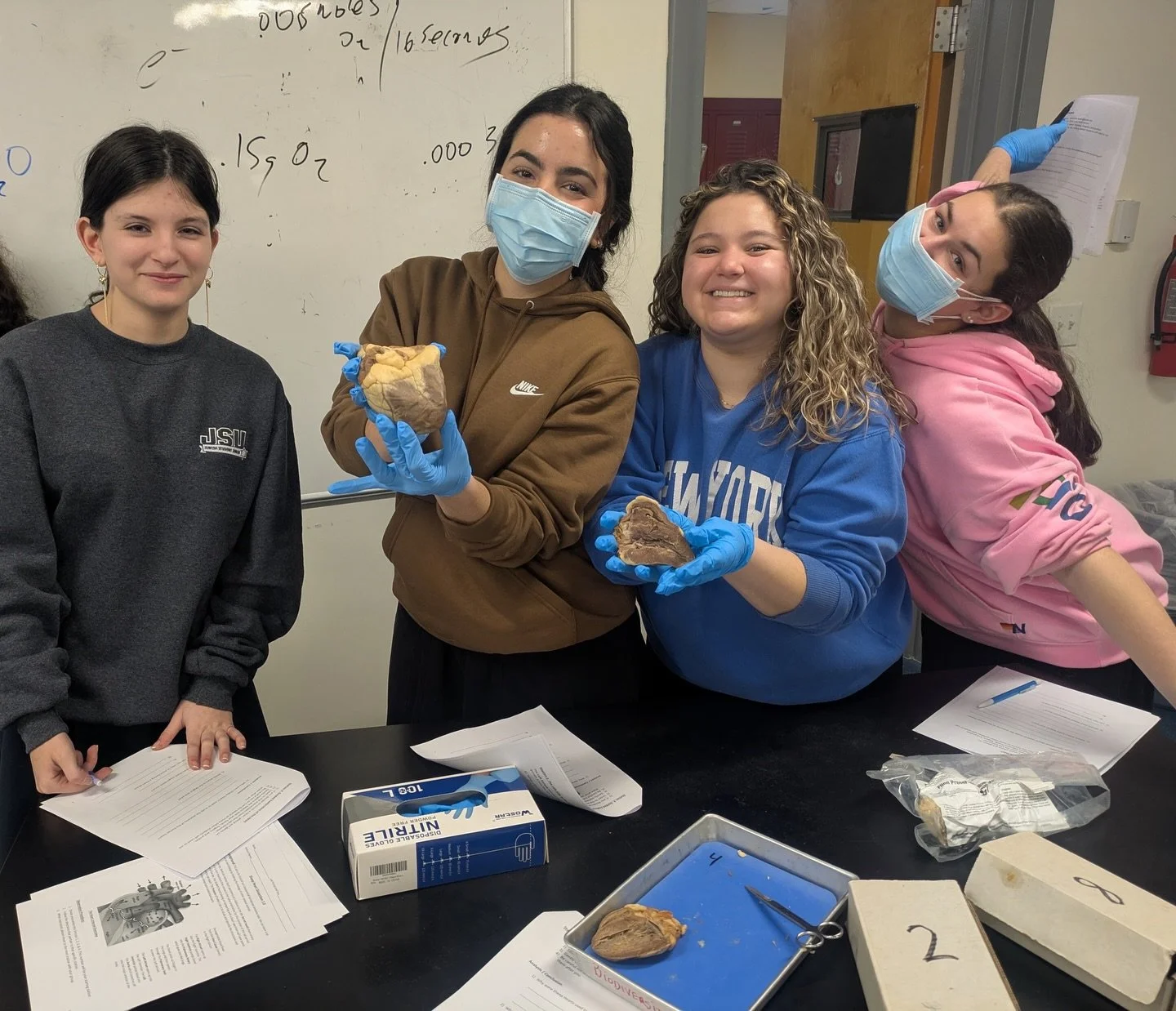 Learning comes alive when students can see, touch, and explore!!

In anatomy and physiology, Sulam students engaged in hands on heart dissections, building understanding through supported, experiential learning. 🫀🔬

#inclusion #inclusiveeducation #