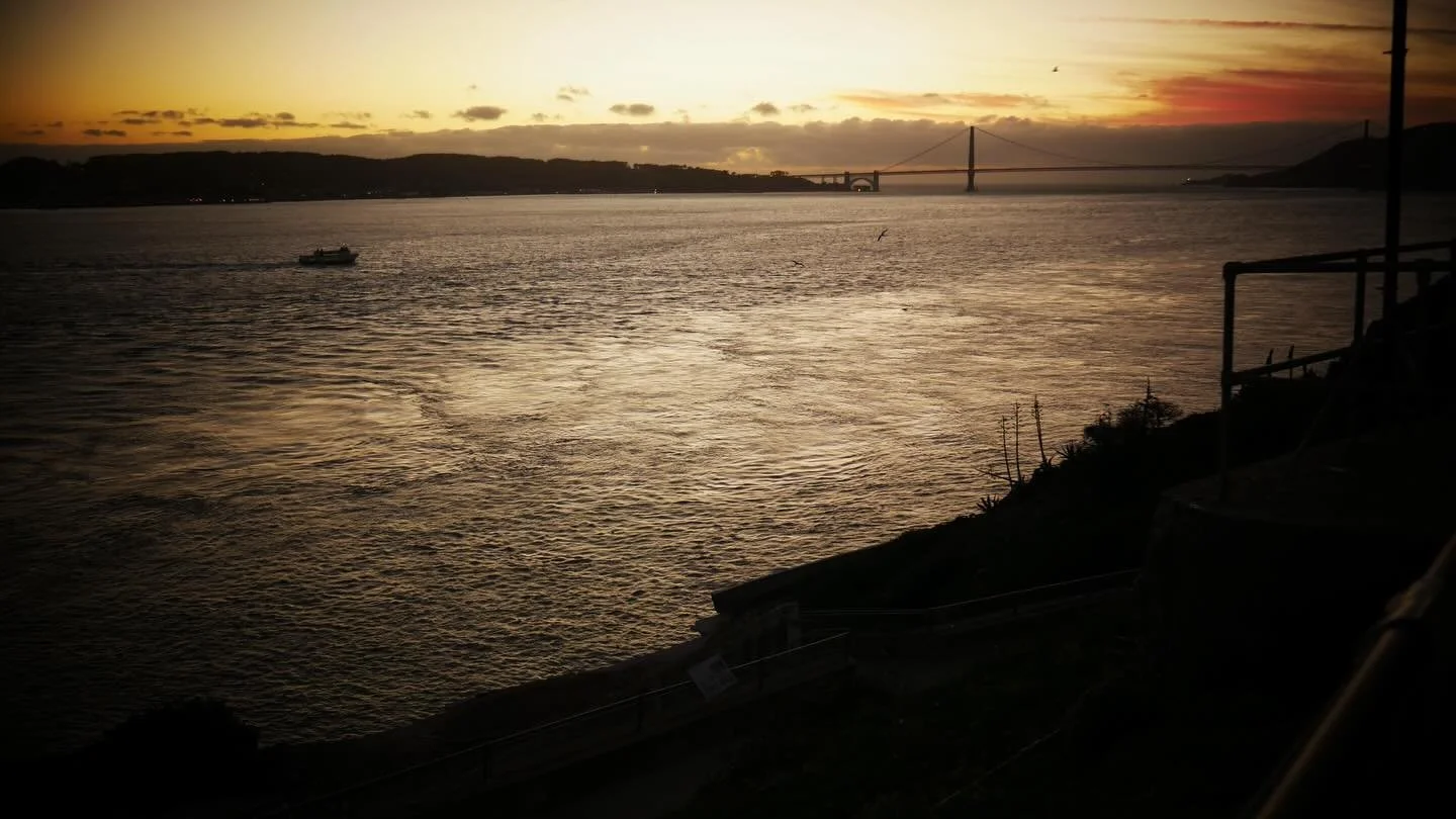 There&rsquo;s a coyote that swam from the mainland to Alcatraz Island. Maybe it fell in somewhere in the Headlands and the tide brought it there, but regardless, it&rsquo;s a big move. And now it&rsquo;s subsisting on the local bird population, which