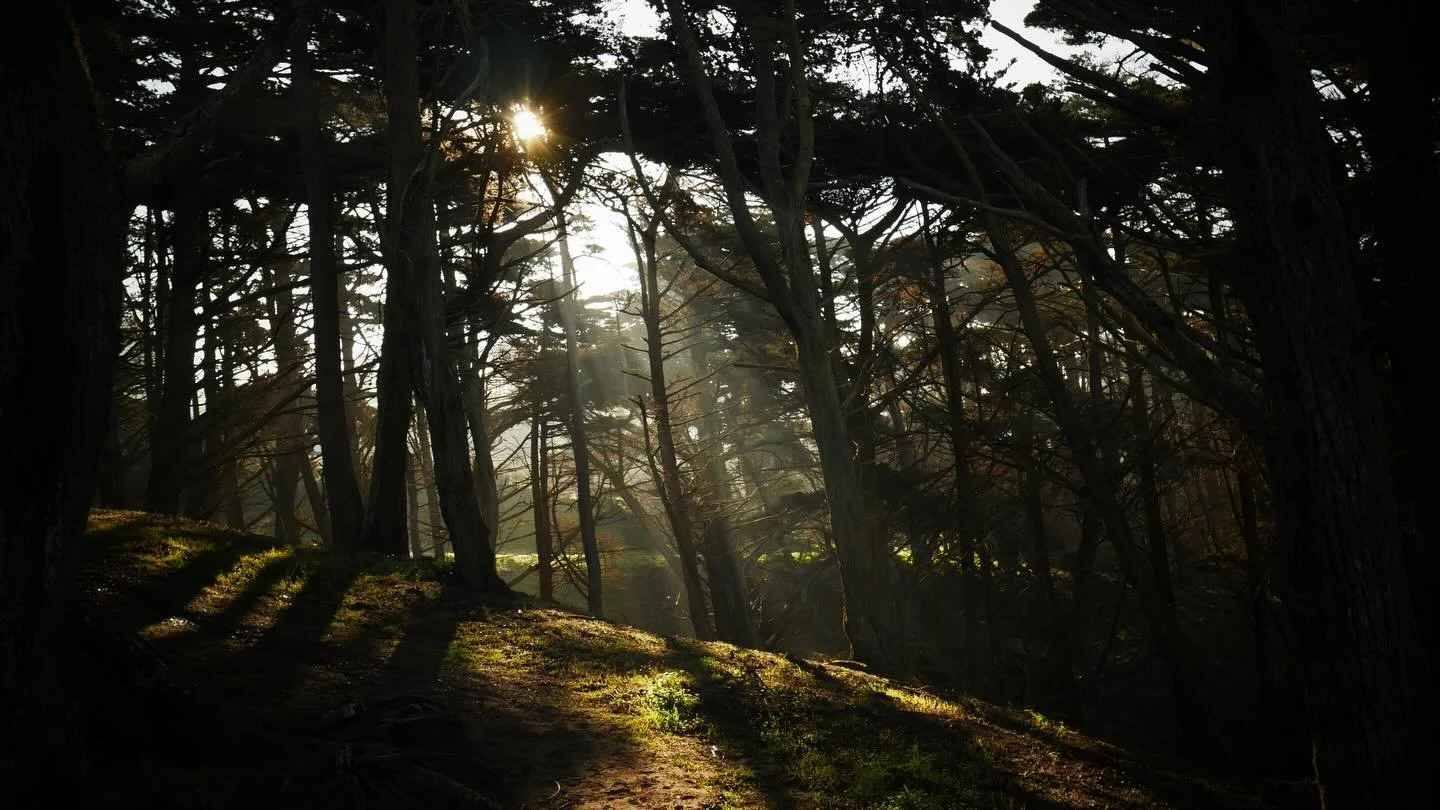 Surf side silhouettes
One of my favorite parts of the city 
Captured early one Sunday morning

#bakerbeach #blissin