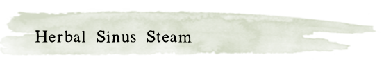 herbalsinussteam.png
