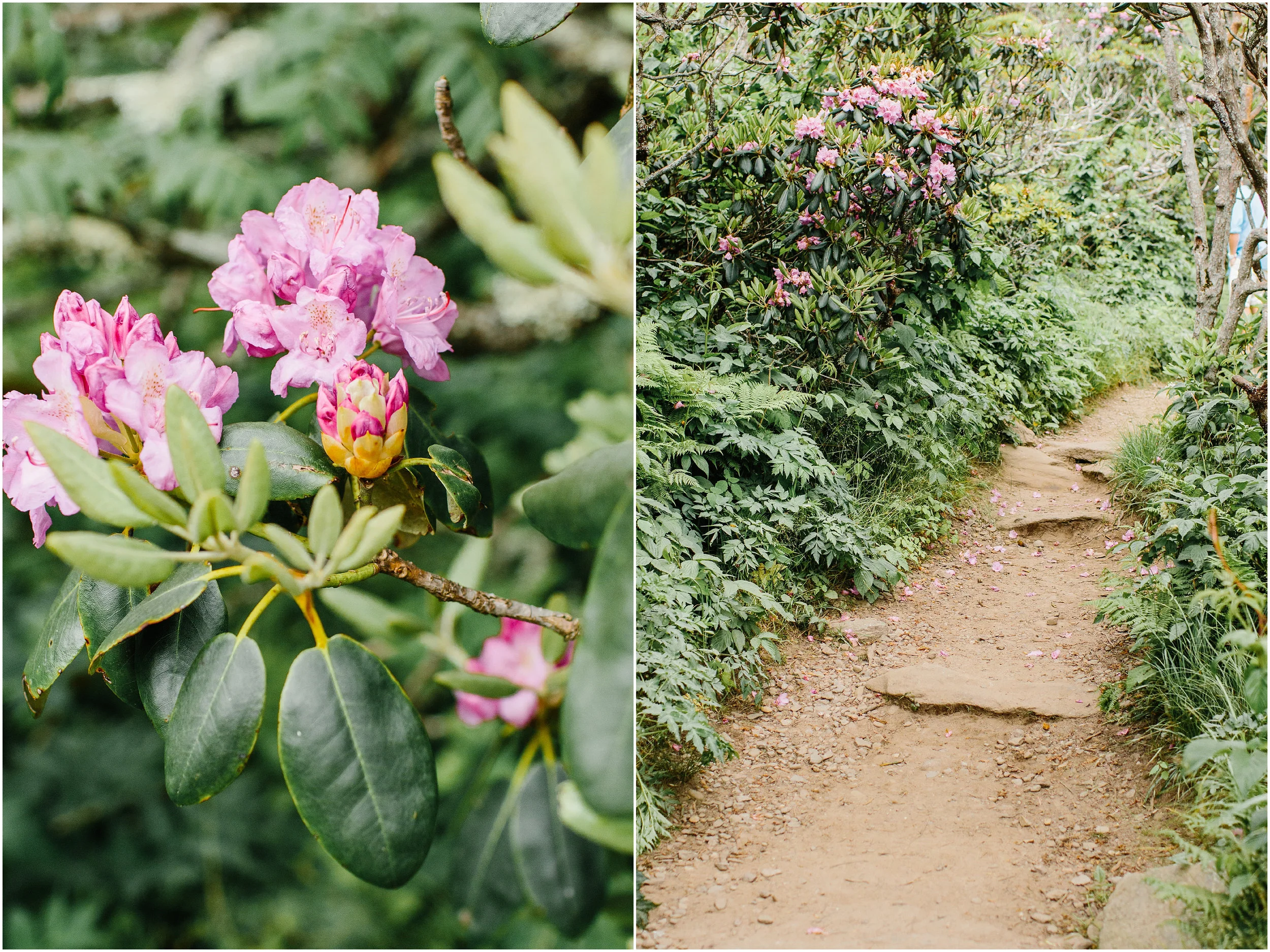 Travel_Photographer_Asheville_NorthCarolina-61.jpg