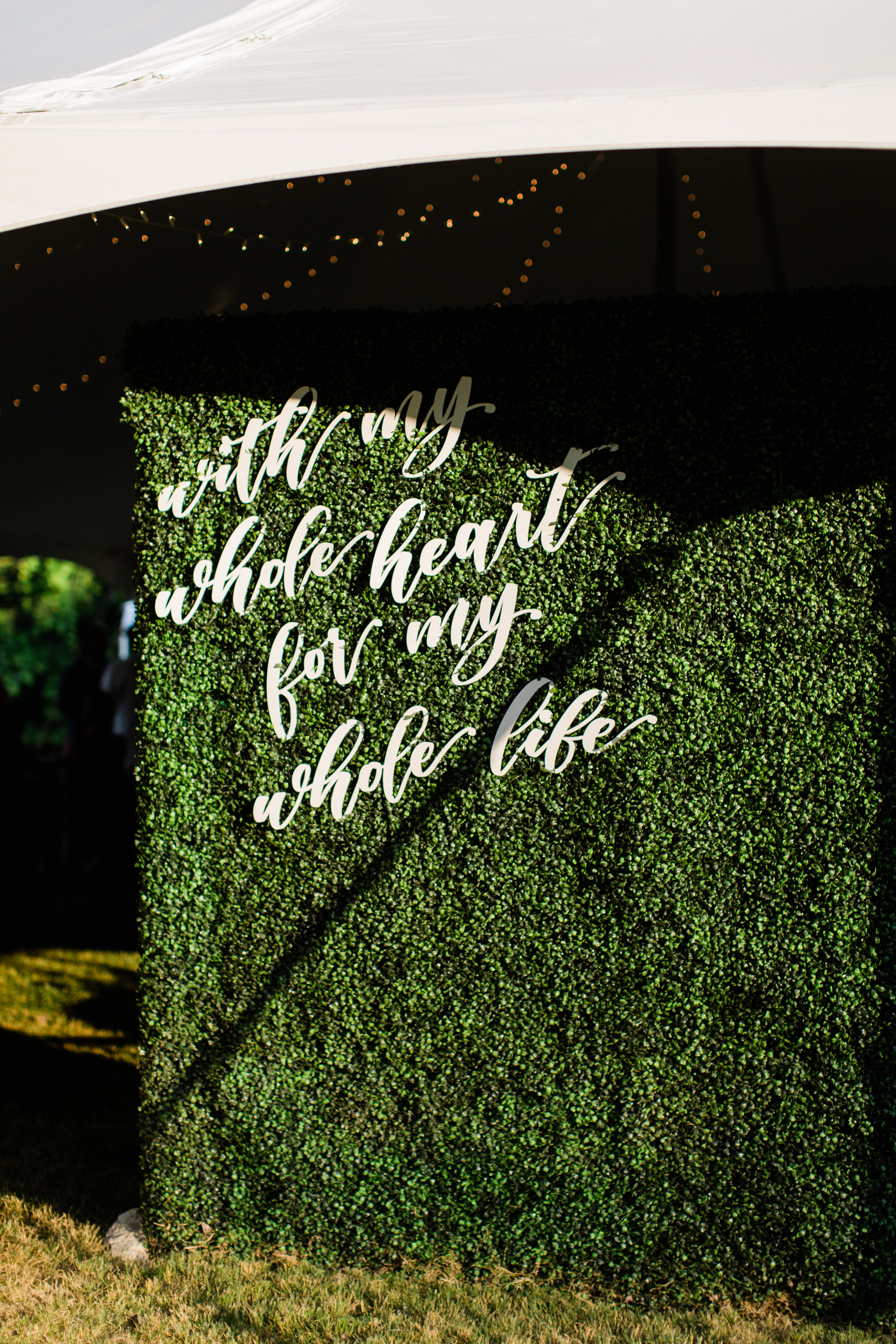 ShelbyCodyMarriedKRP527.jpg