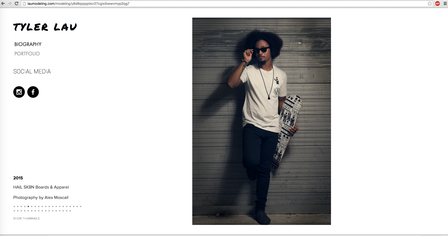 Website Portfolio Gallery