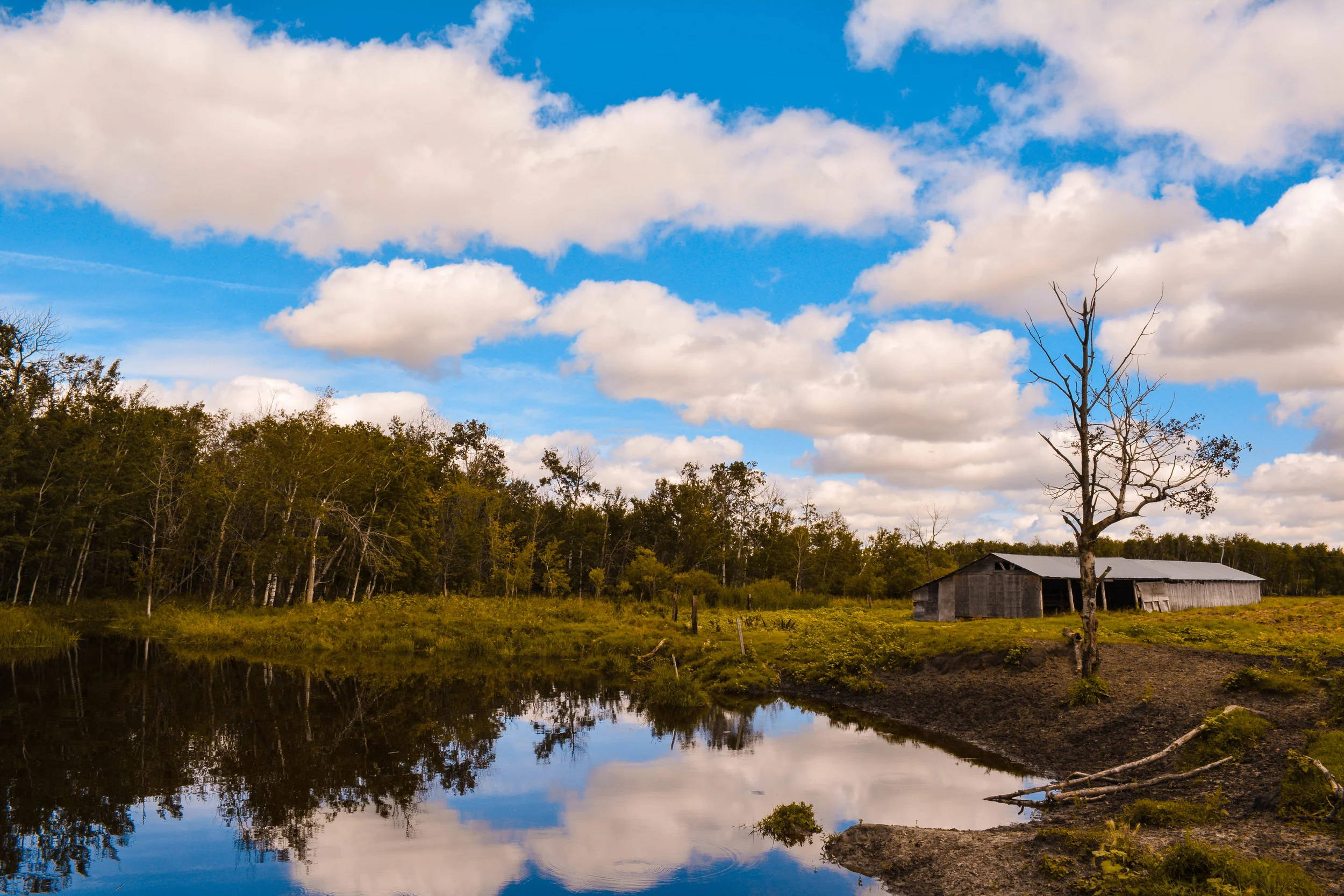 Prarie Pondside