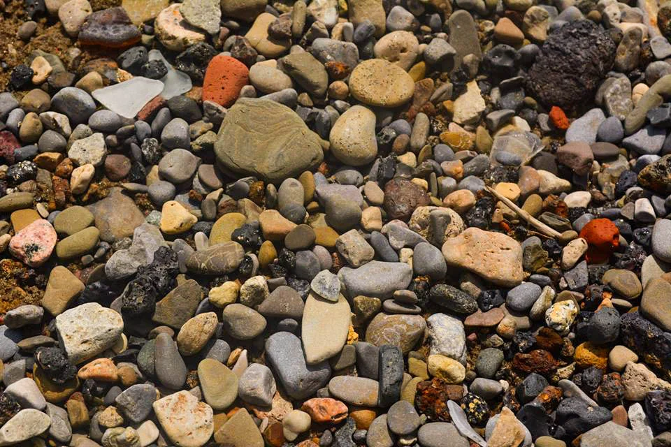 River Bottom