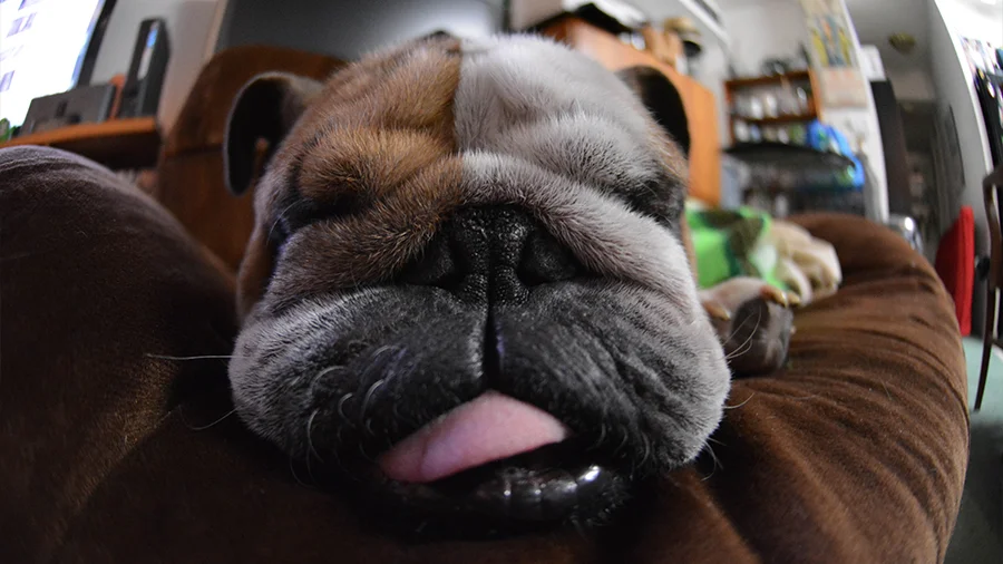 Baxter