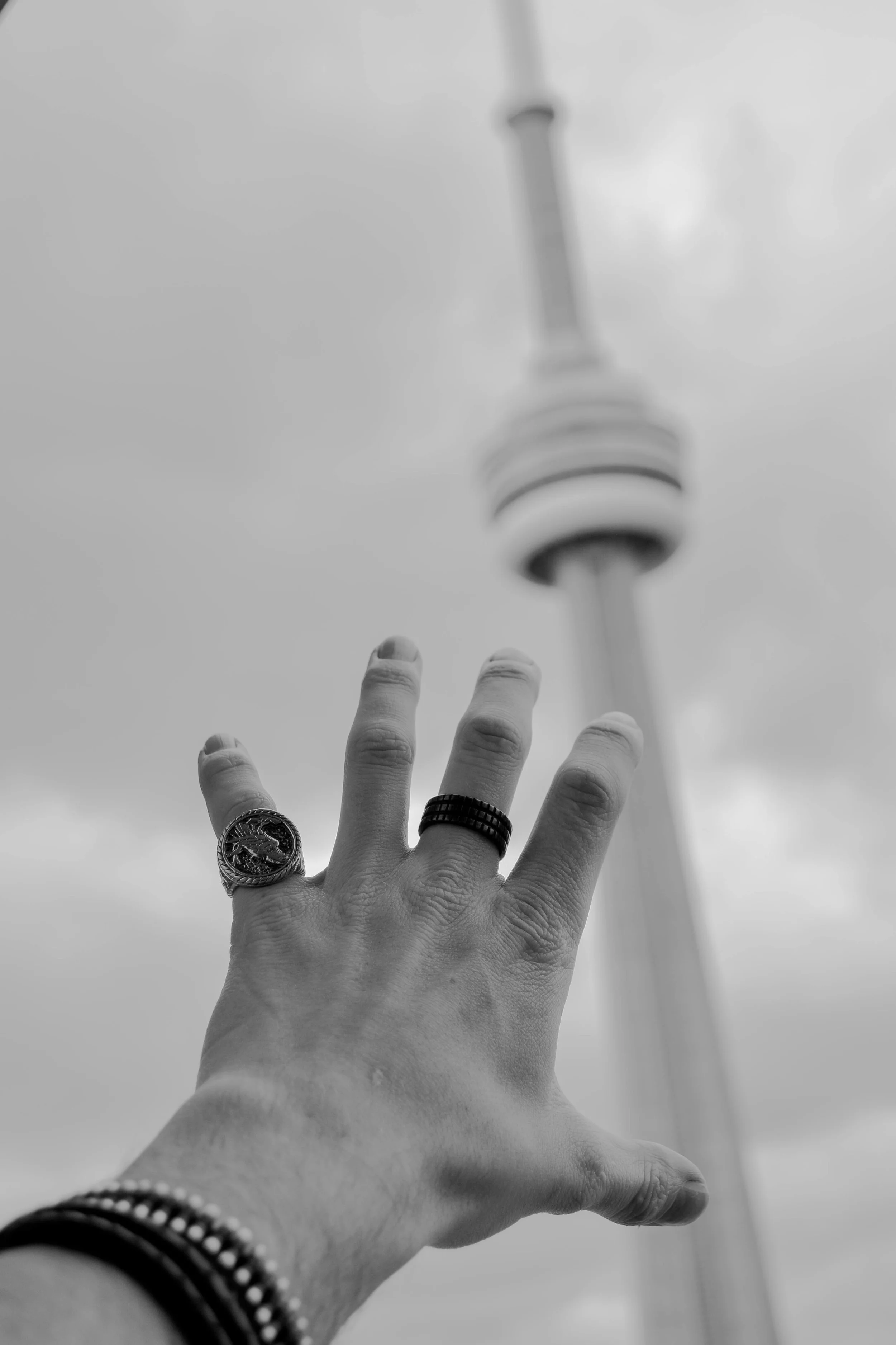 DSC_1337.jpg