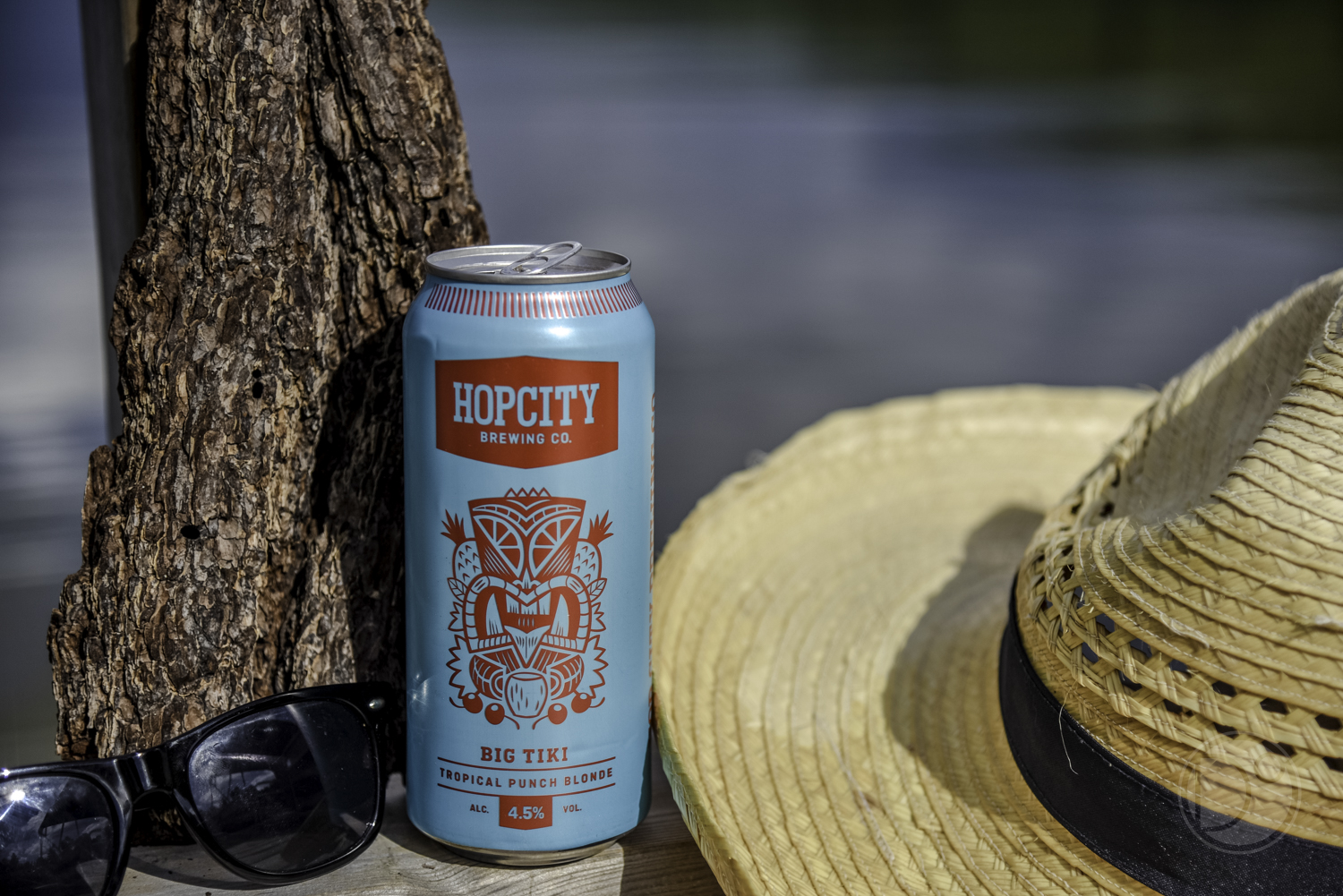 hopcity promo 4.jpg