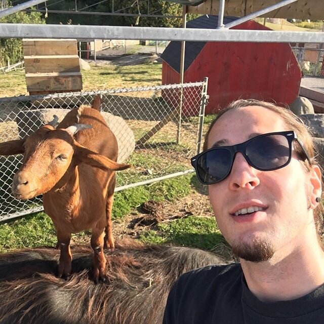 Making faces with goats... life's good. Ps he's on a yak lol 😏🐐#stacksonyaks
.
.
.
.
.
.
.
#greatestofalltime #goat #selfie #stupidface #farmlife #Ottawa #roadtrip #thegoat #goatlife #popmontreal #imbackbitches