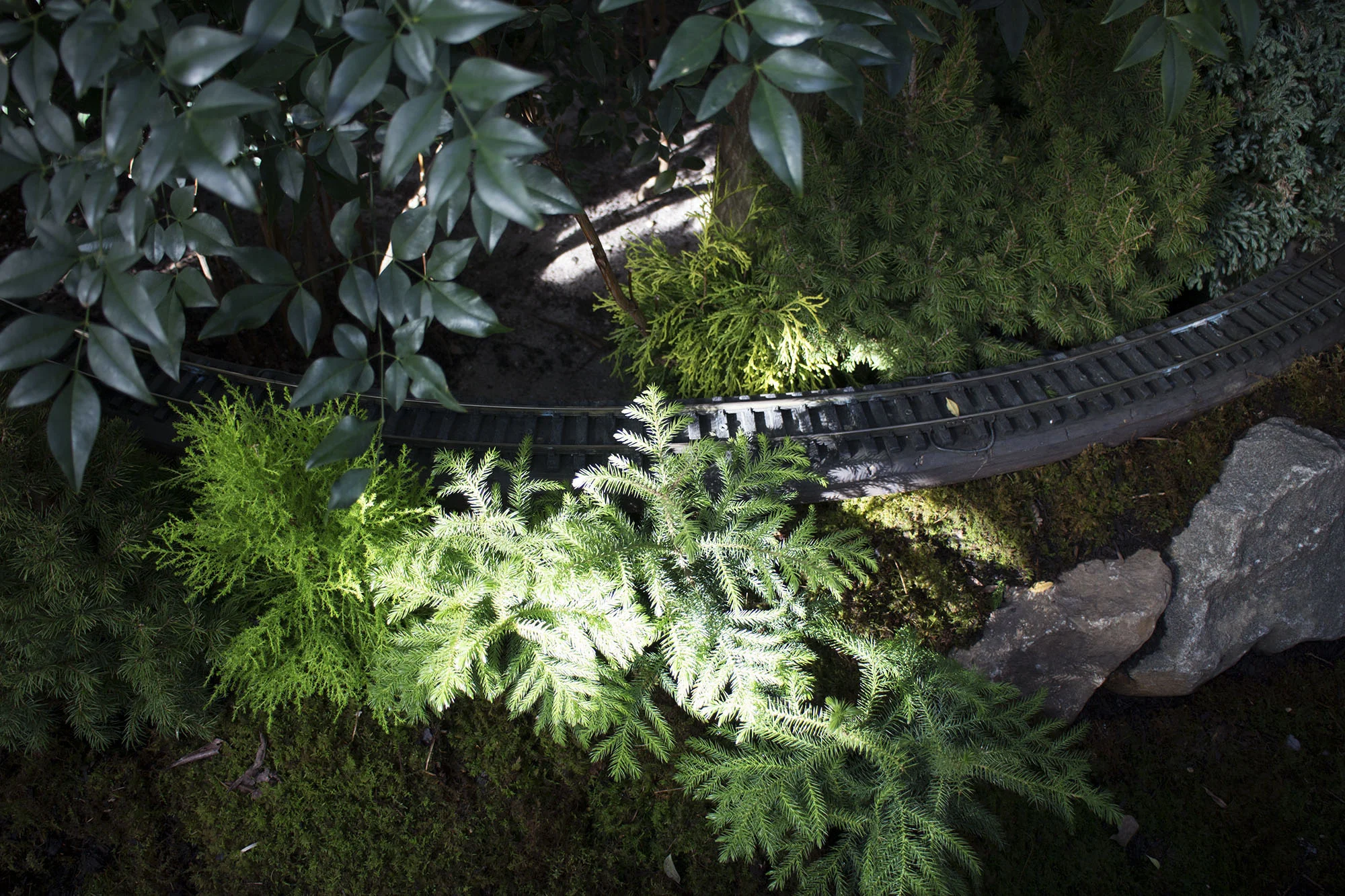 TrainShow2016_030.jpg