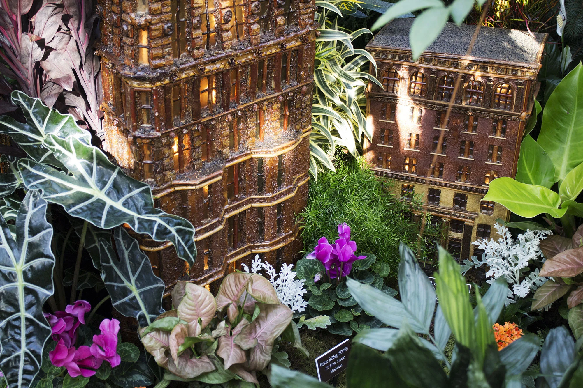 TrainShow2016_036.jpg