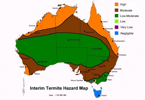 Termite Inspections — Tweed Pest Services