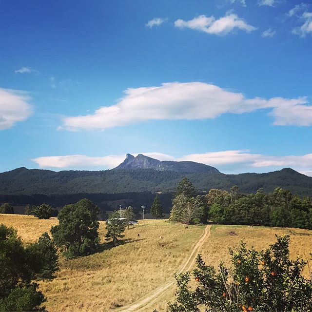 Another beautiful winters day in and around the Tweed Caldera 😎#tweedvalley #tyalgum #murwillumbah #oranges #pestcontrol #goldcoasthinterland #cabarita #pottsville