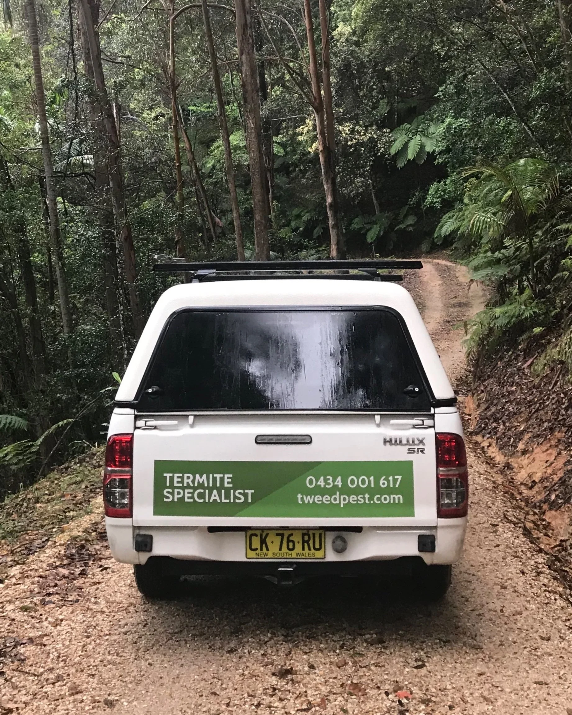 termite inspection vehicle tweed coast