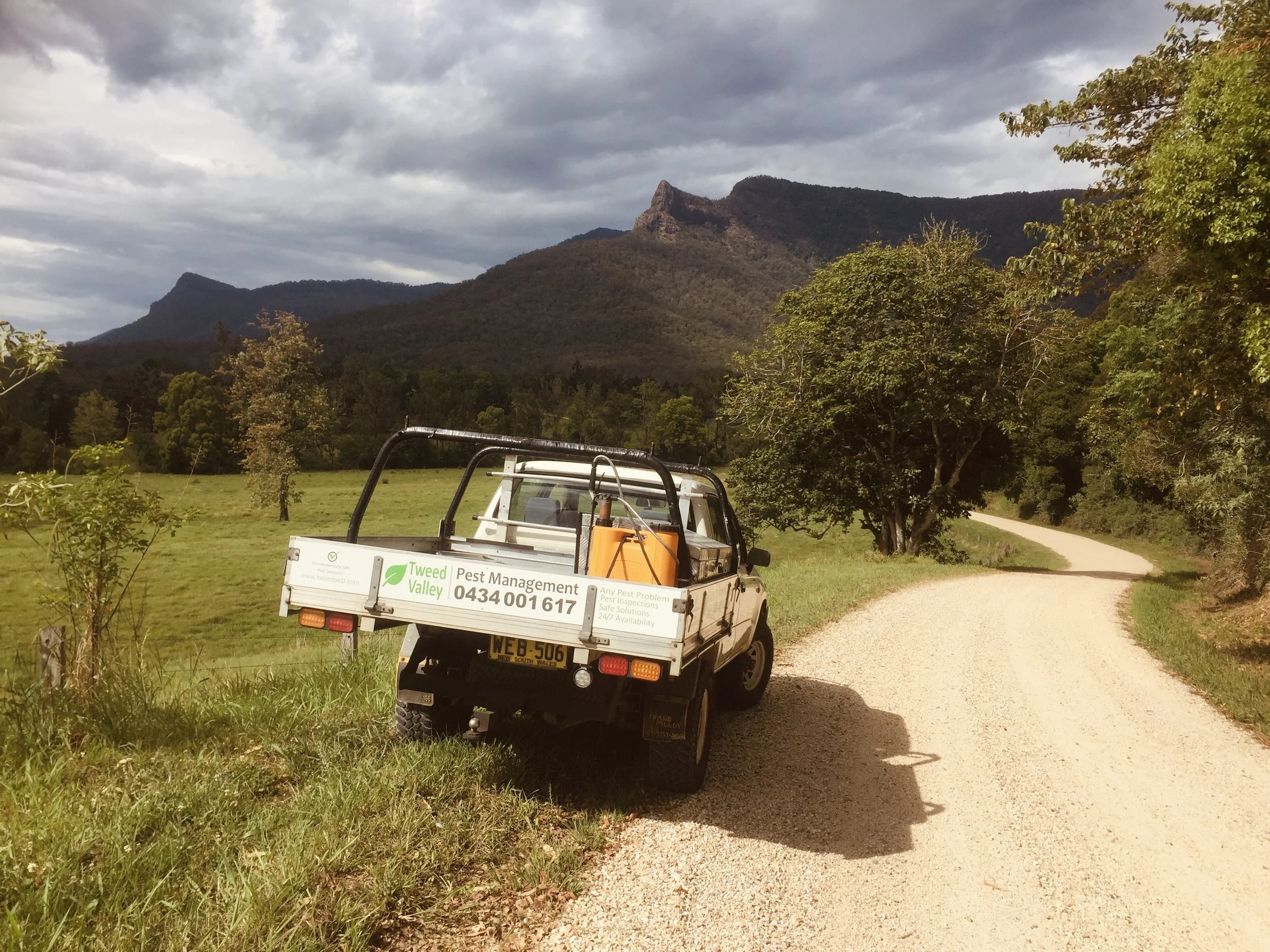 Pest control servicing Tyalgum