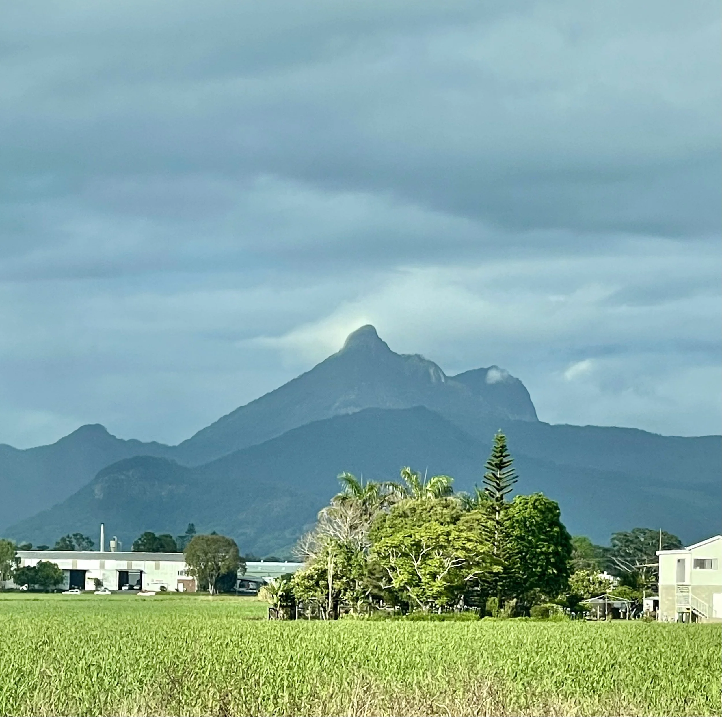 Murwillumbah