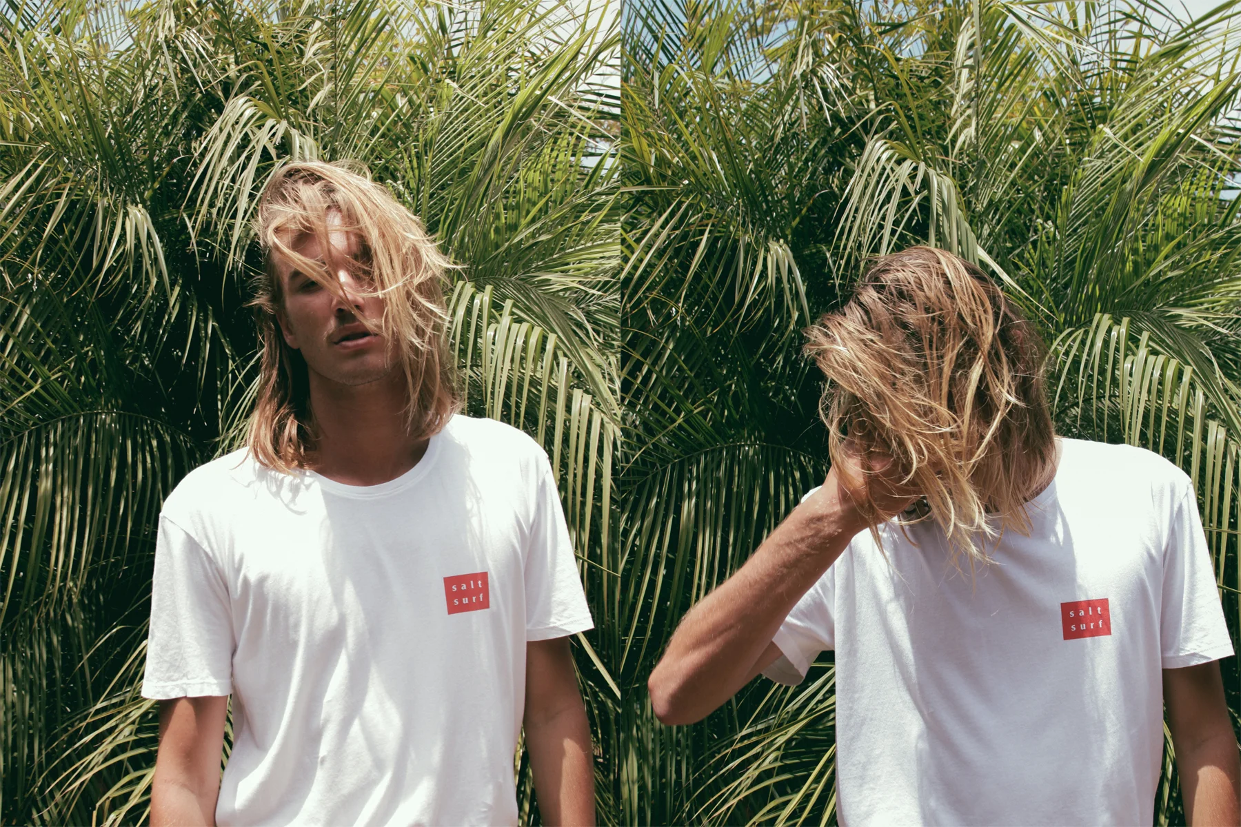 Palm_1a.jpg